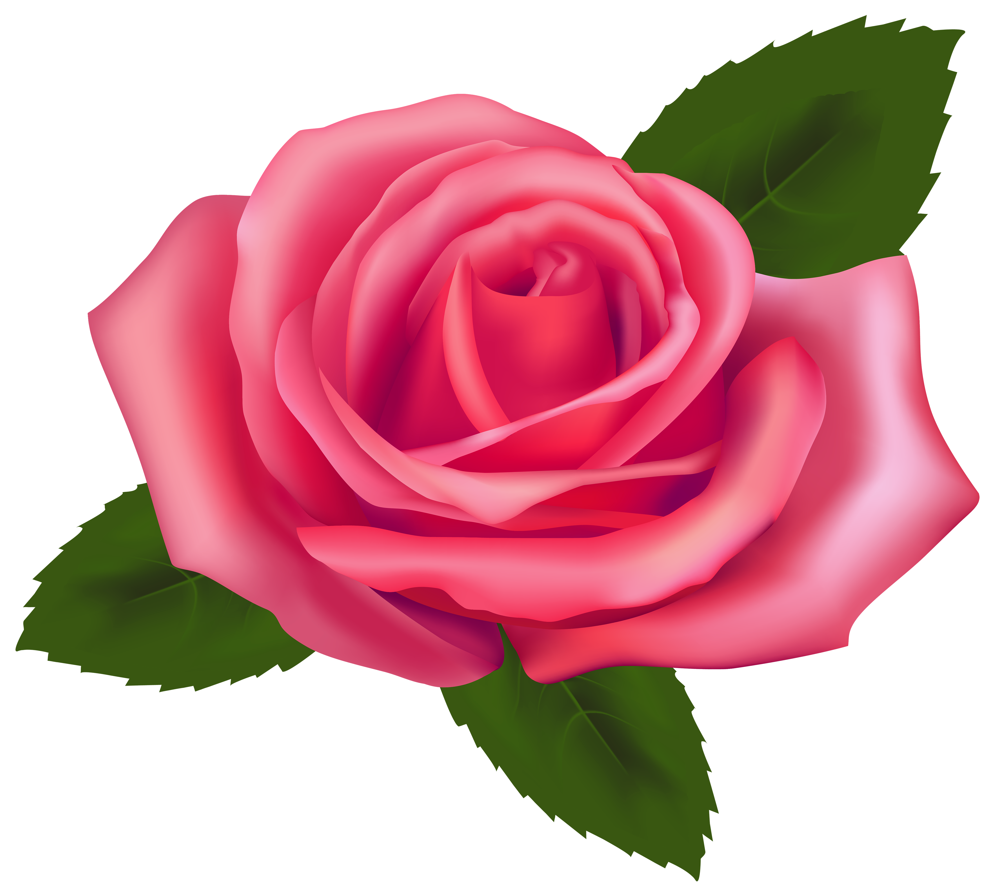 Single Pink Rose Clip Art