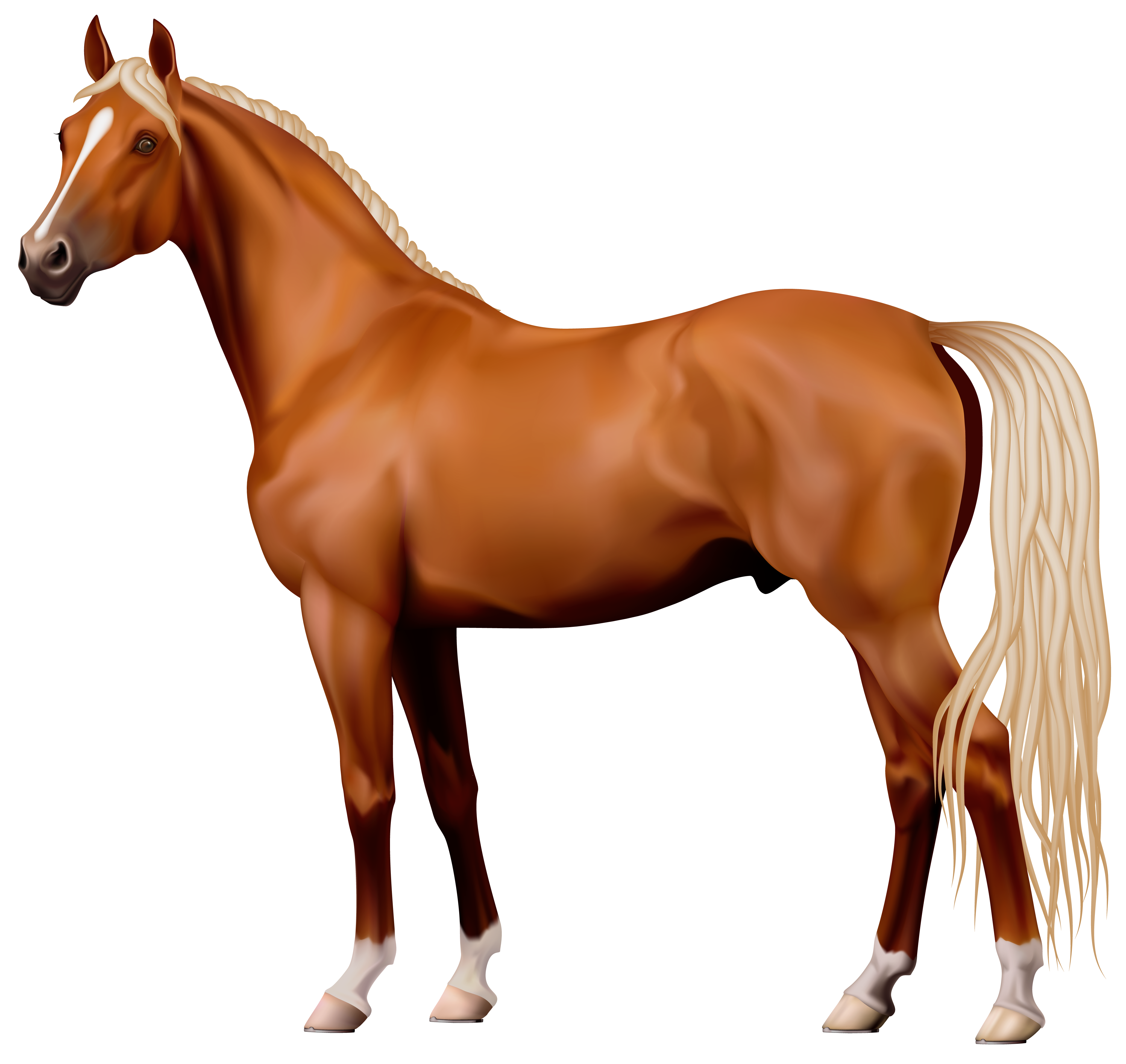 horse tail clipart - photo #49