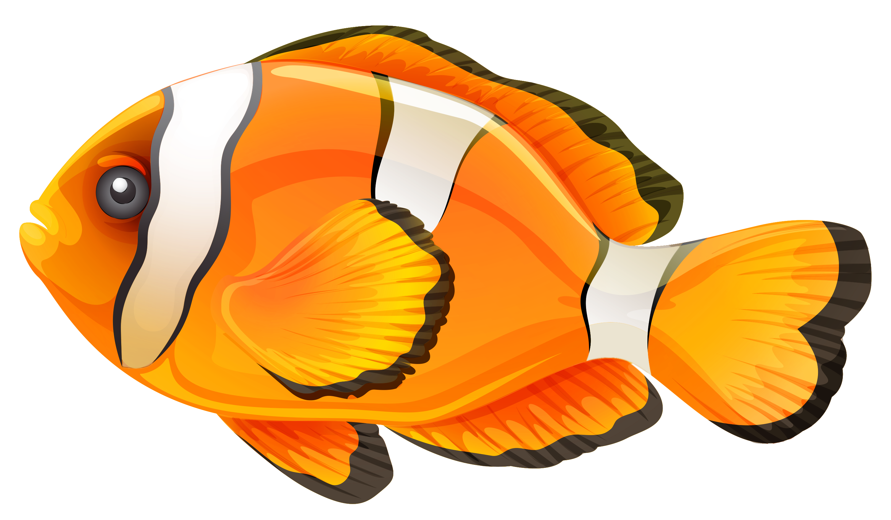 clip art of clown fish - photo #19