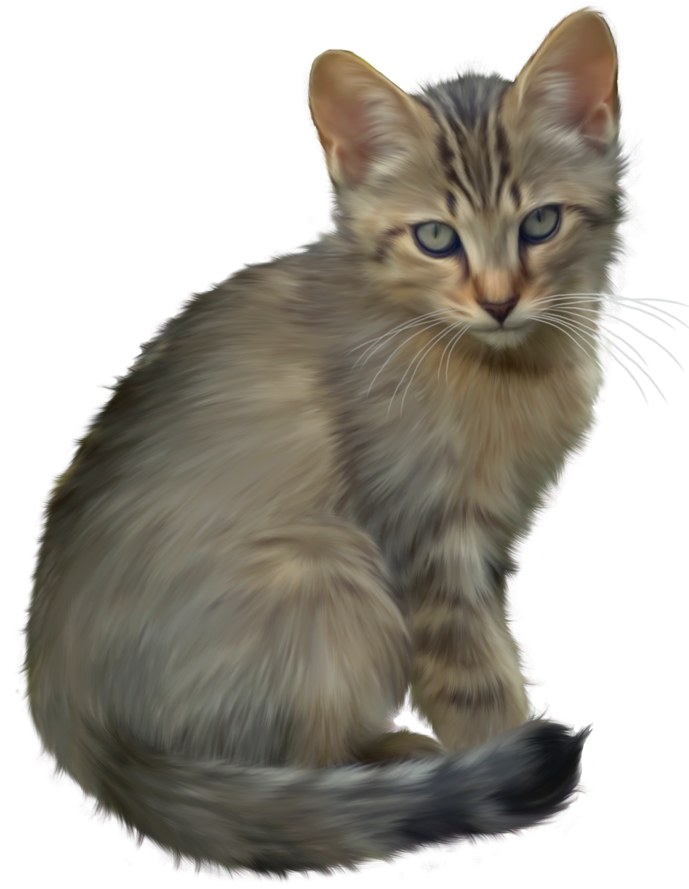 clipart png- cats and kittens - photo #22