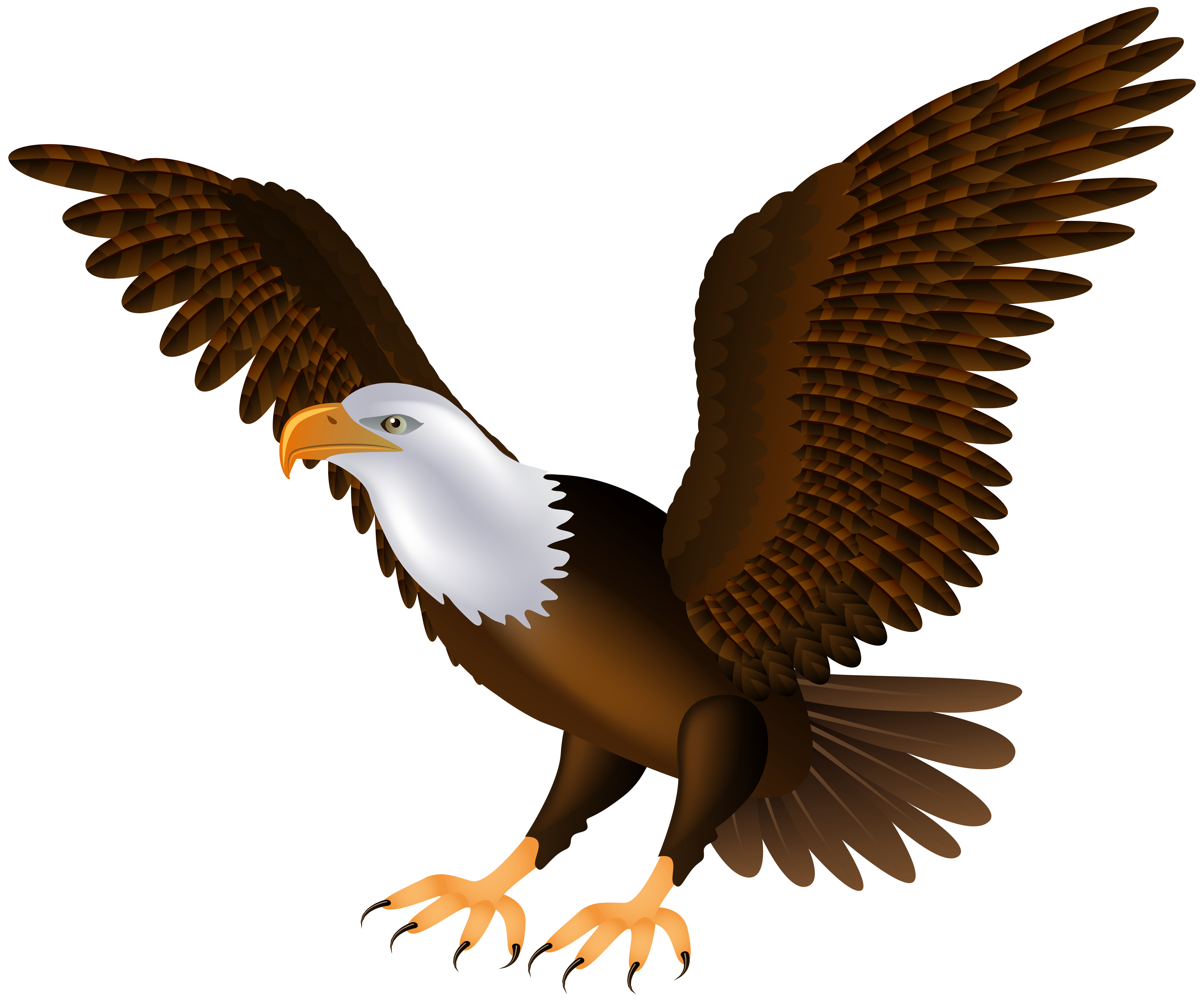 clipart picture of an eagle - photo #6
