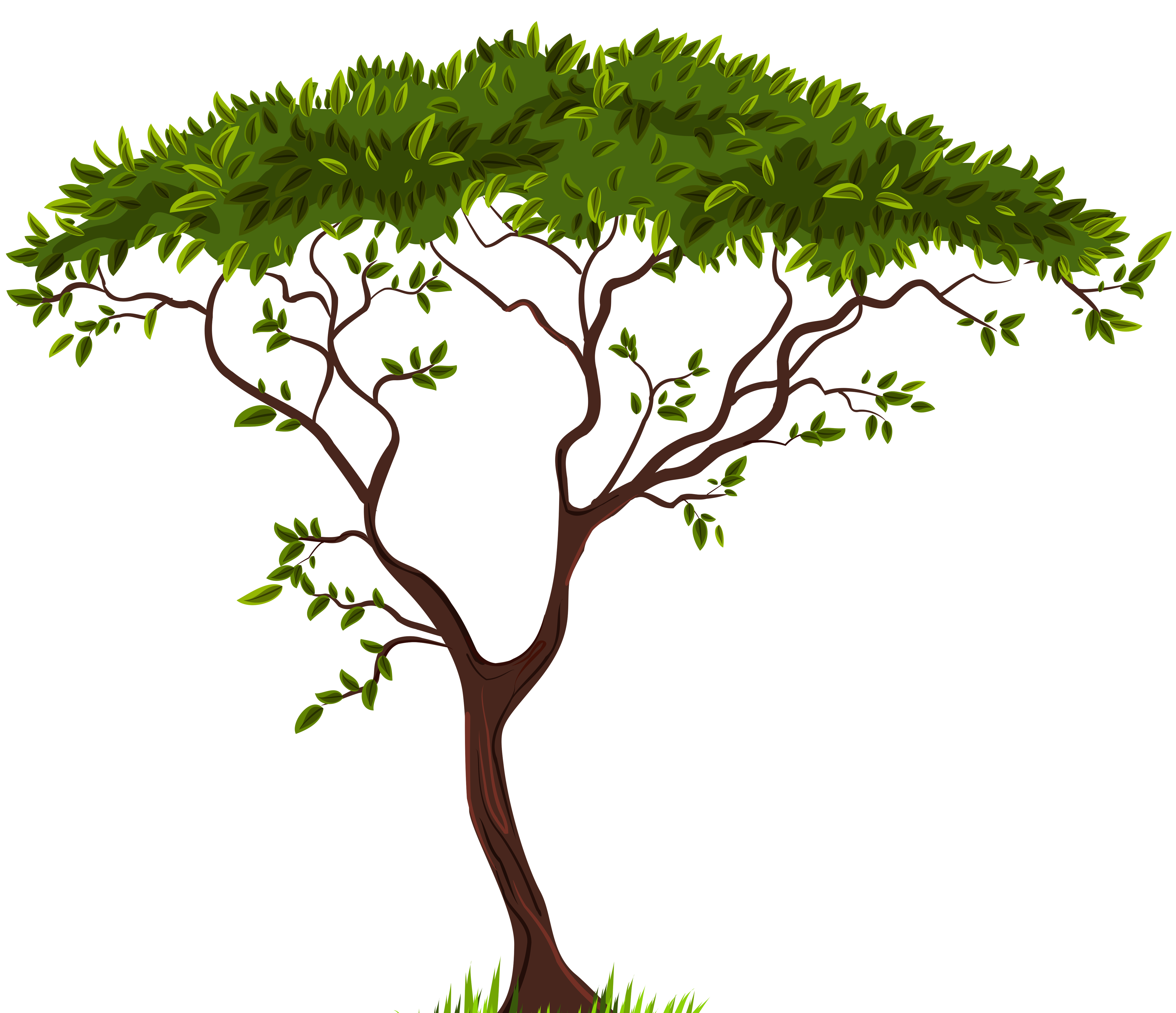clipart tree png - photo #3