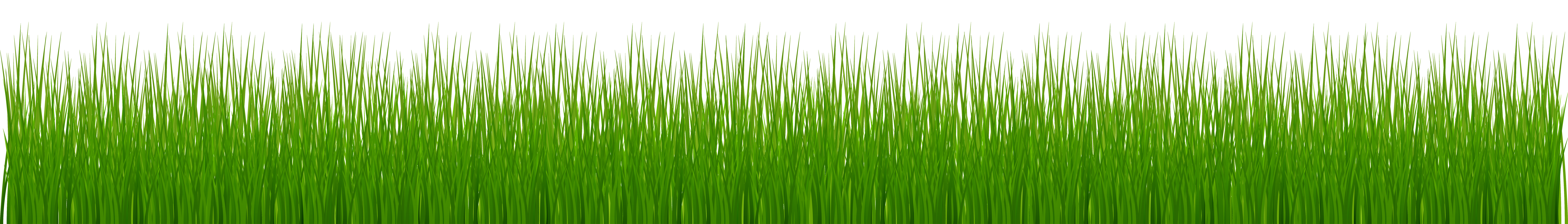 png clipart grass - photo #48