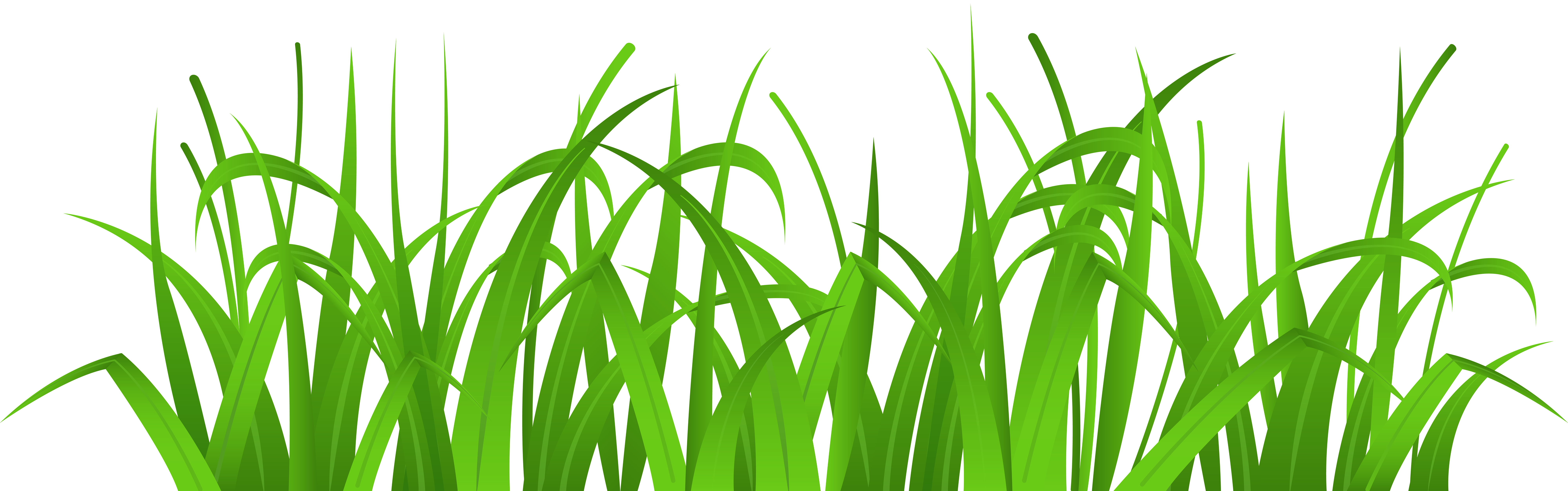 png clipart grass - photo #5