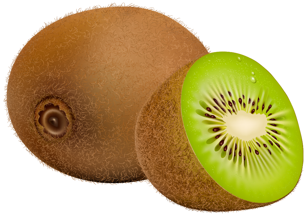 free kiwi fruit clipart - photo #4