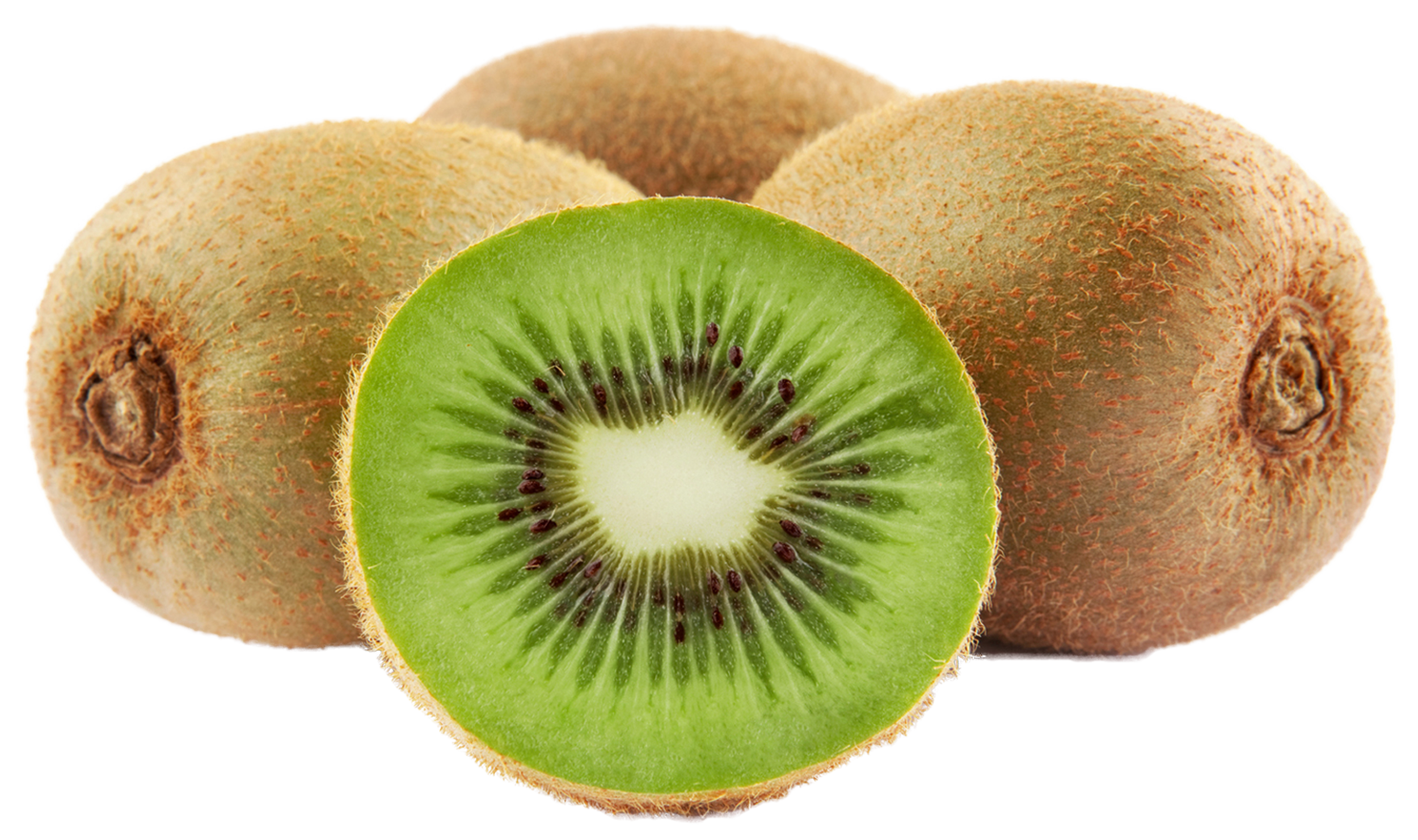 free kiwi fruit clipart - photo #36