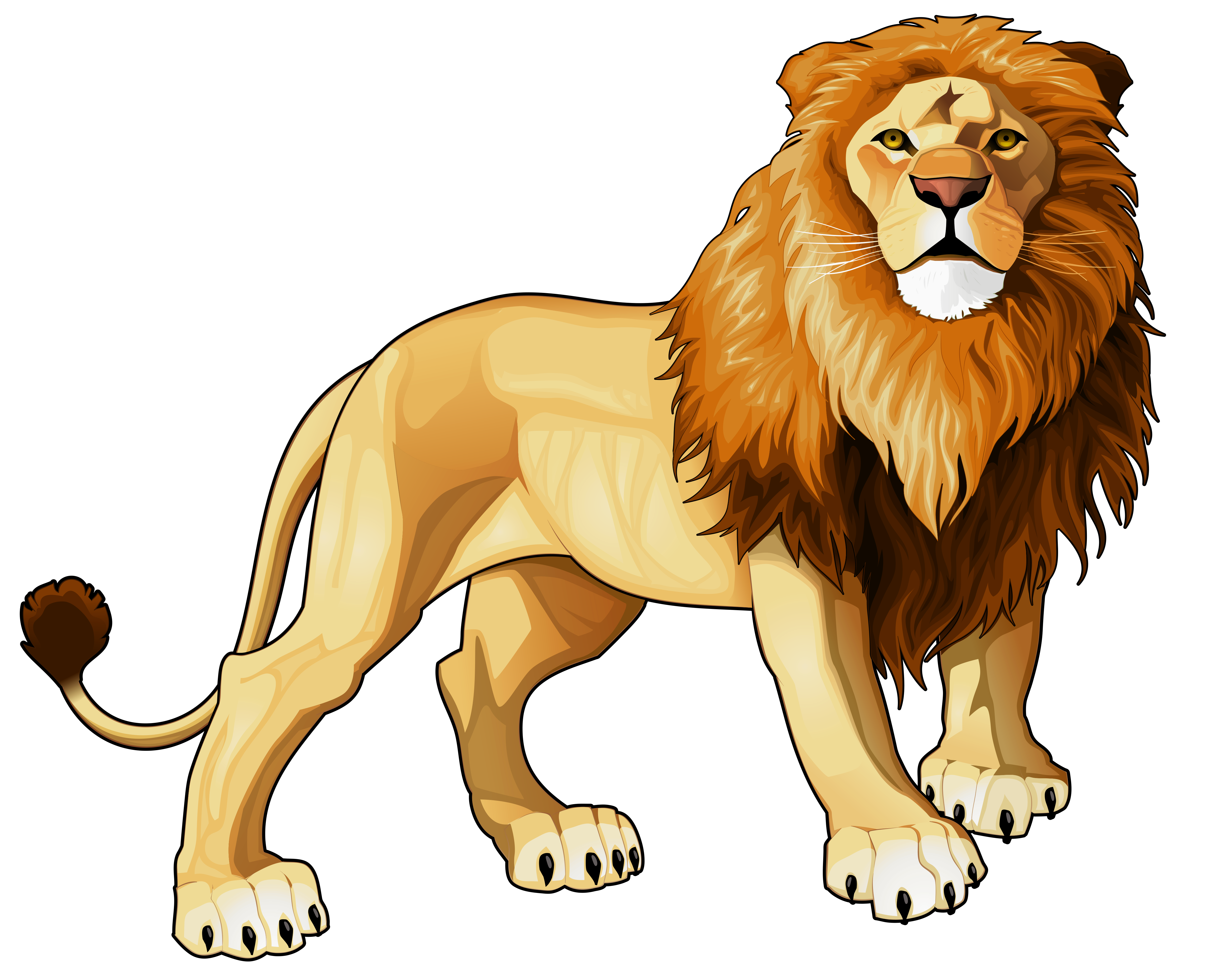 clipart lion background - photo #29