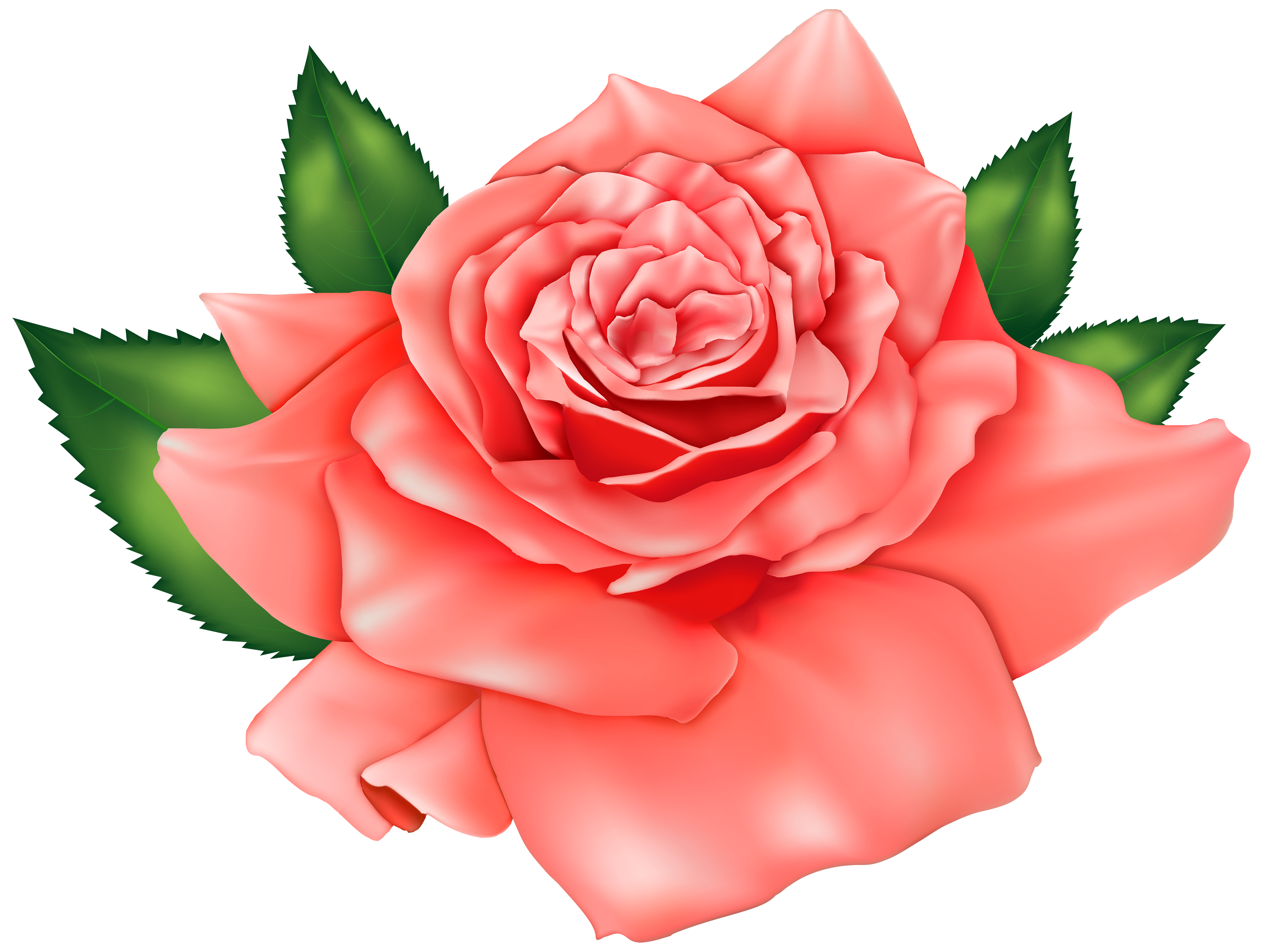 clipart flower rose - photo #34