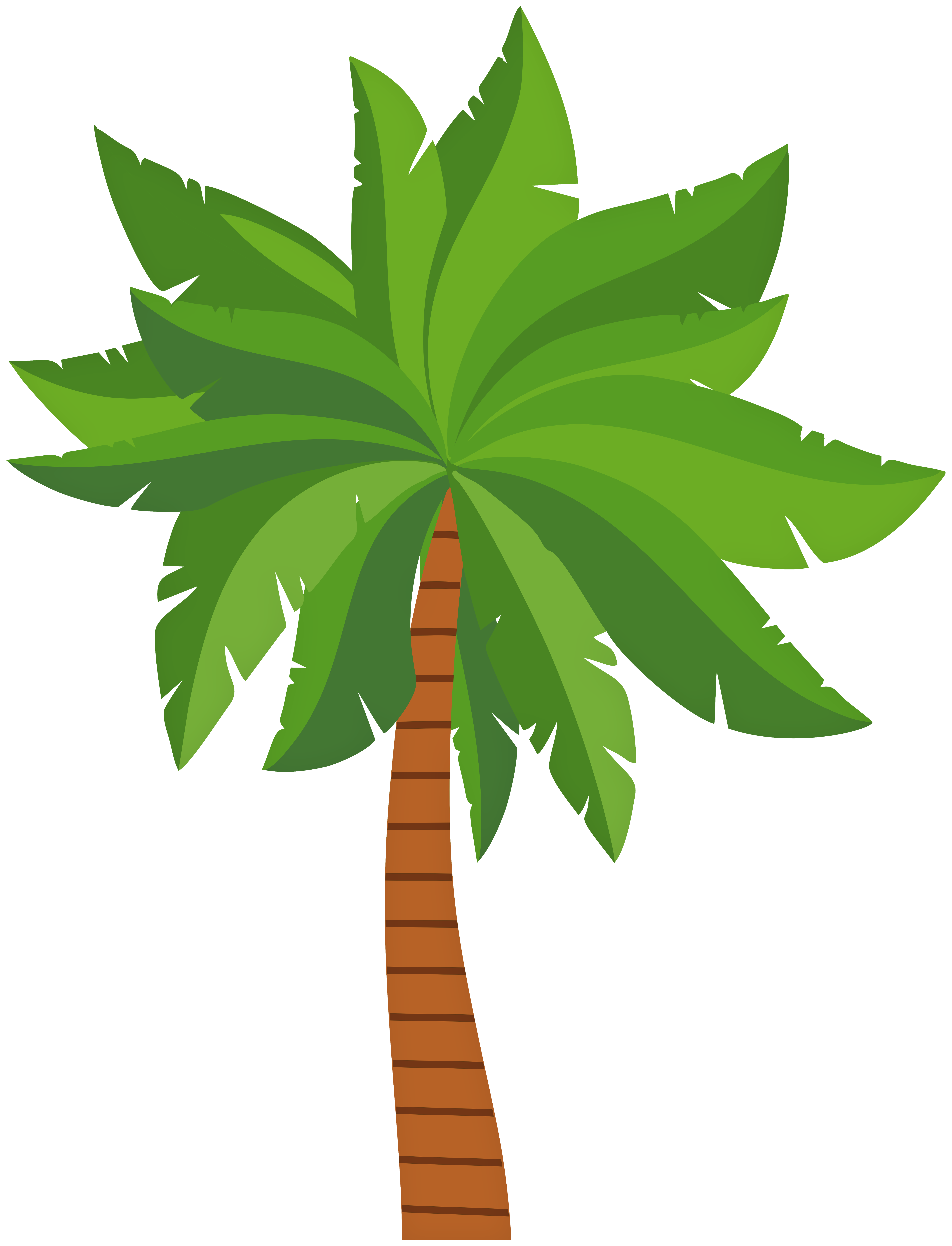 Palm Tree Cartoon Transparent Png