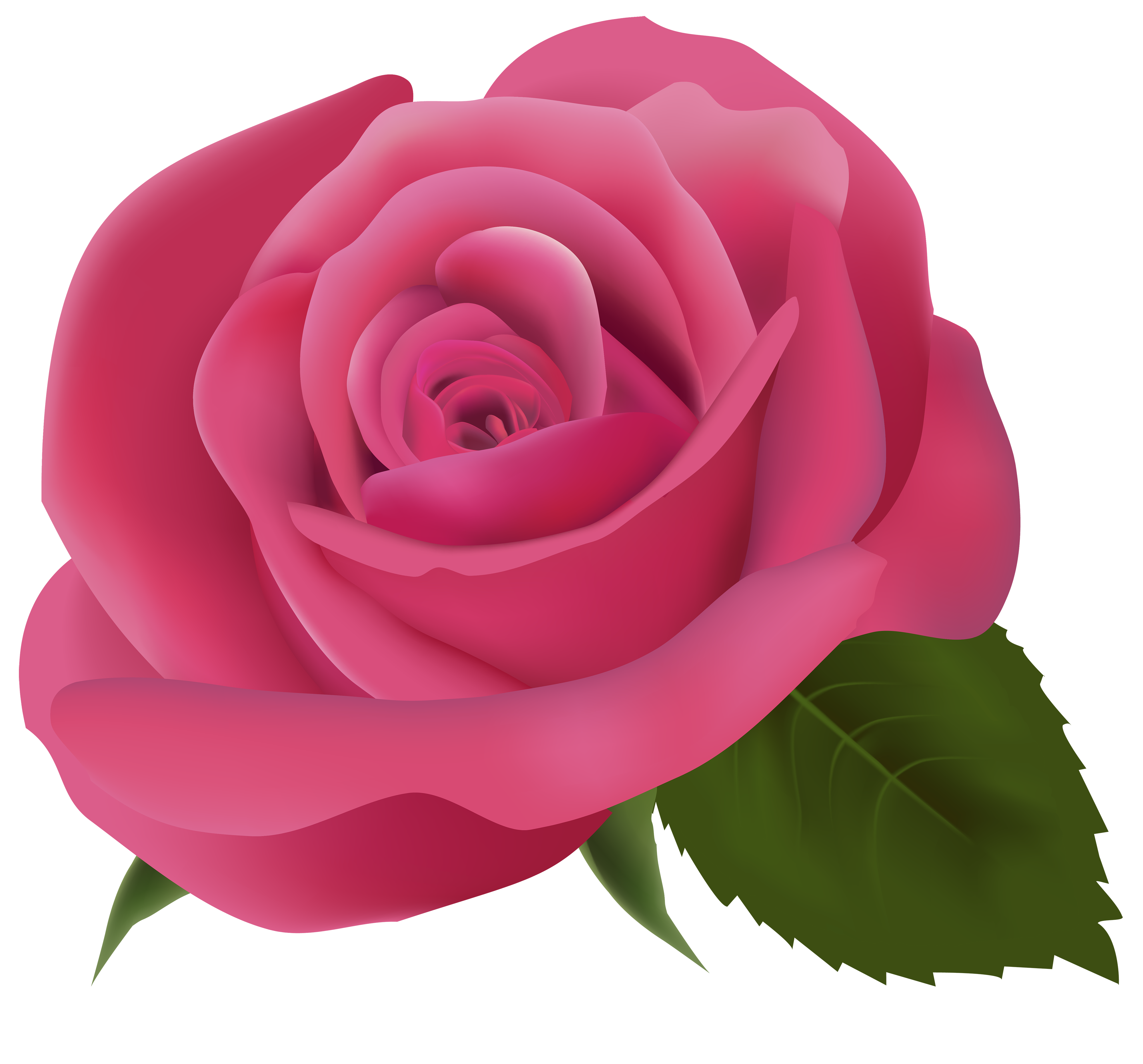 Light Pink Rose Clip Art