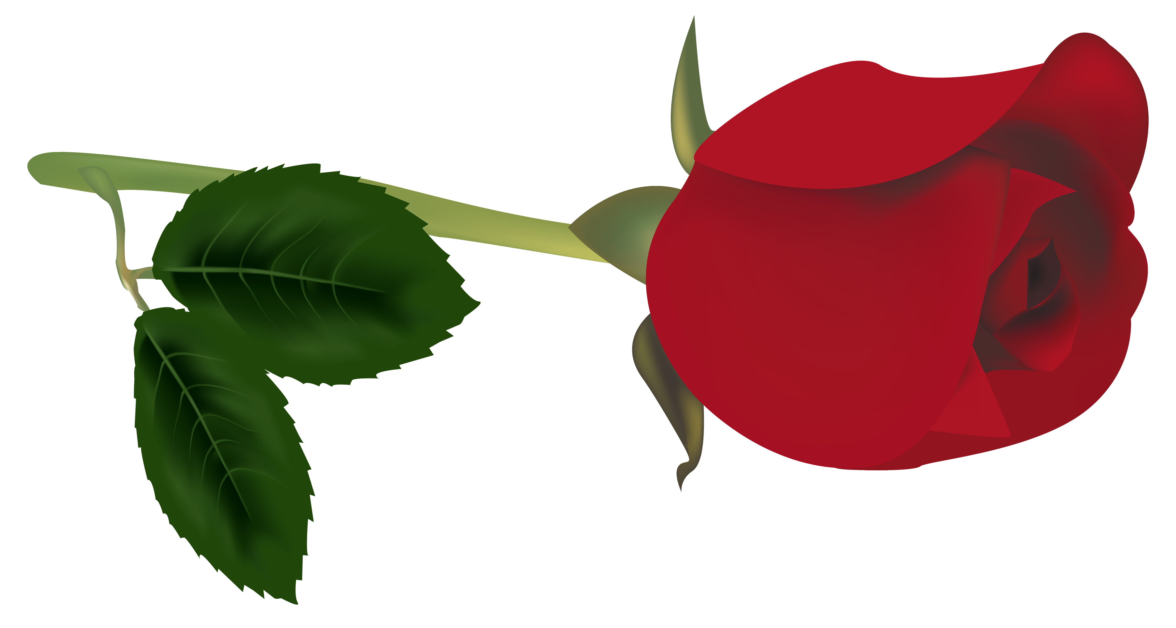 clipart red rose bud - photo #1