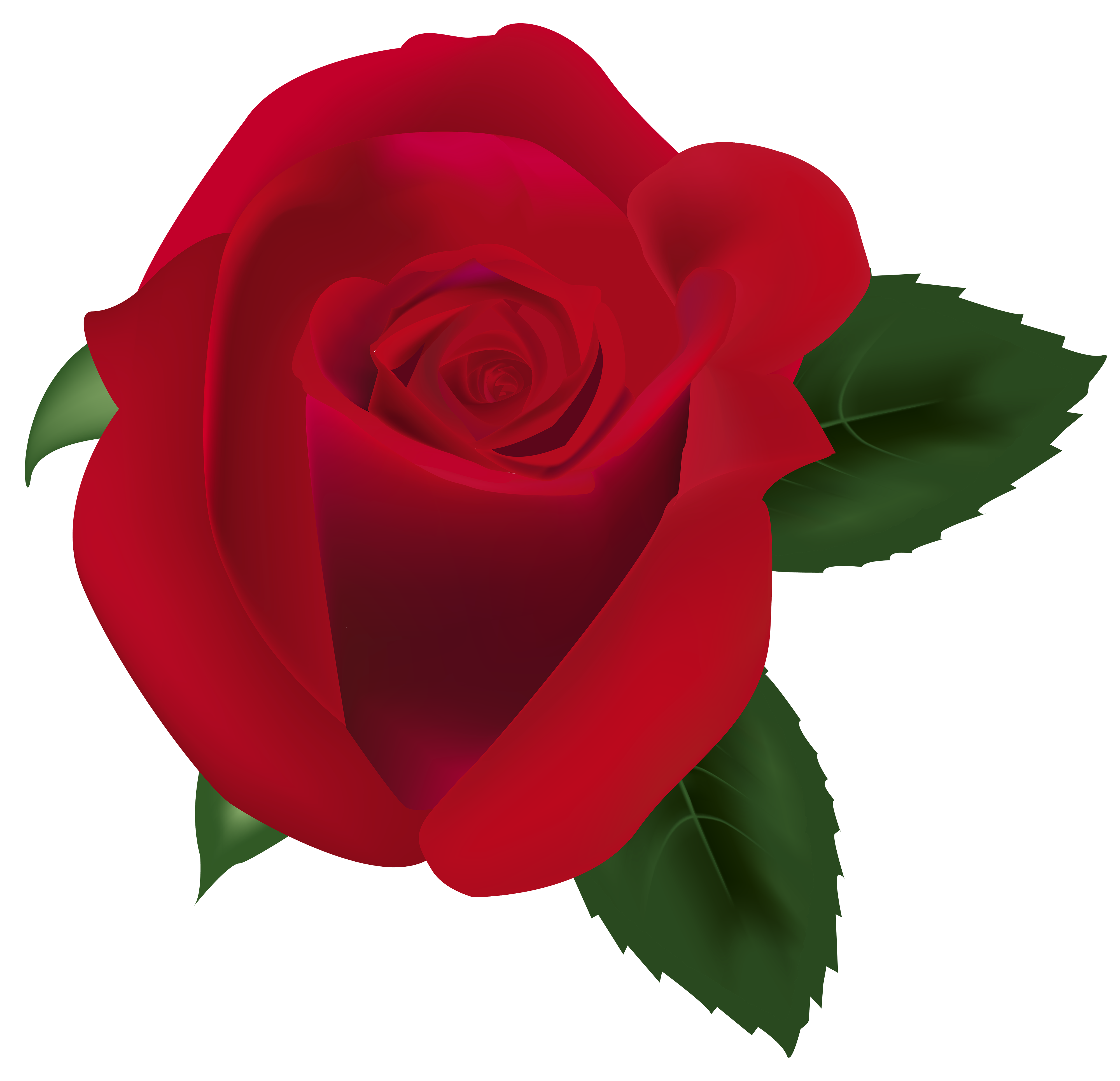 clipart roses red - photo #50