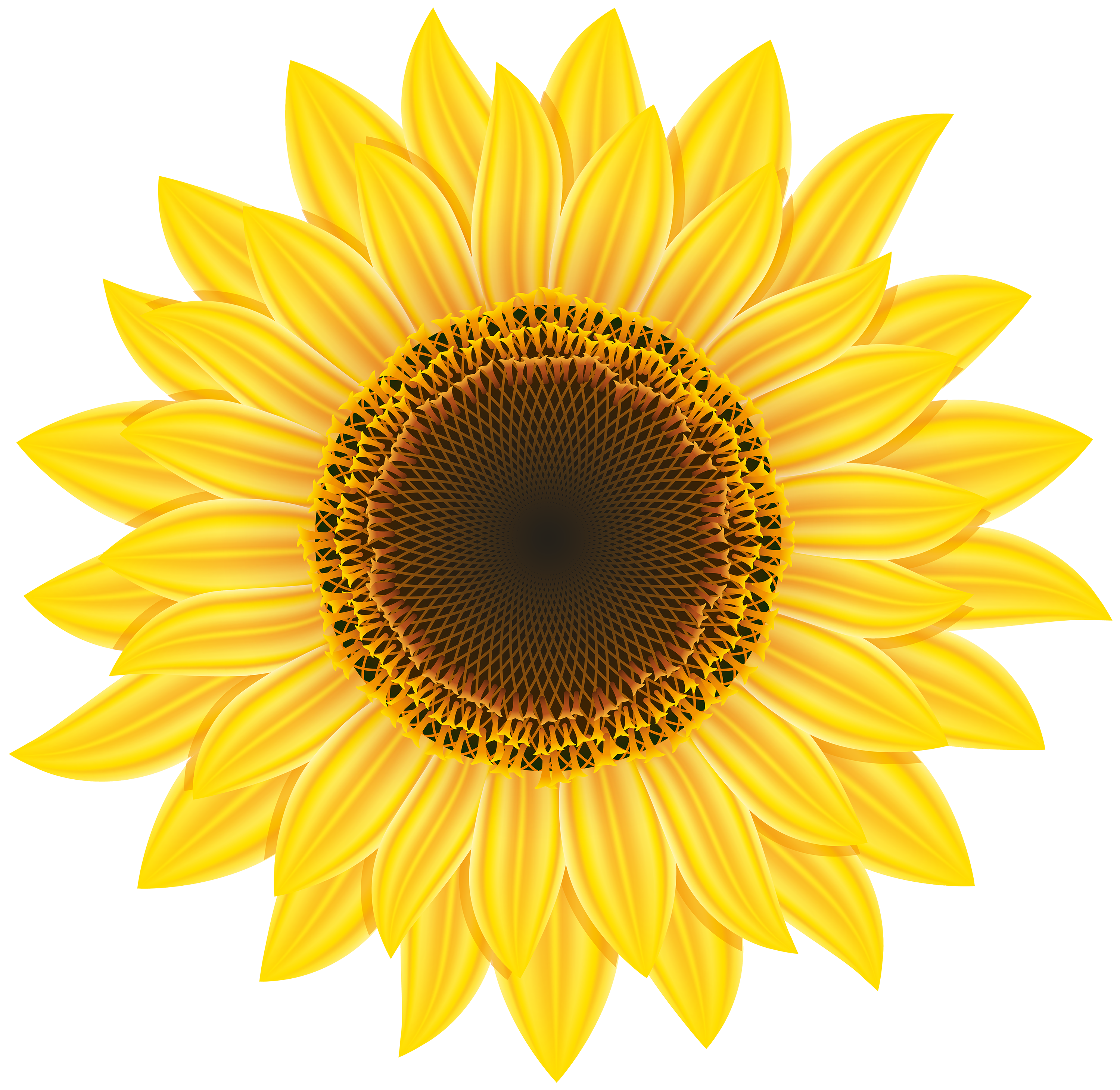 Sunflower PNG Clipart - Best WEB Clipart