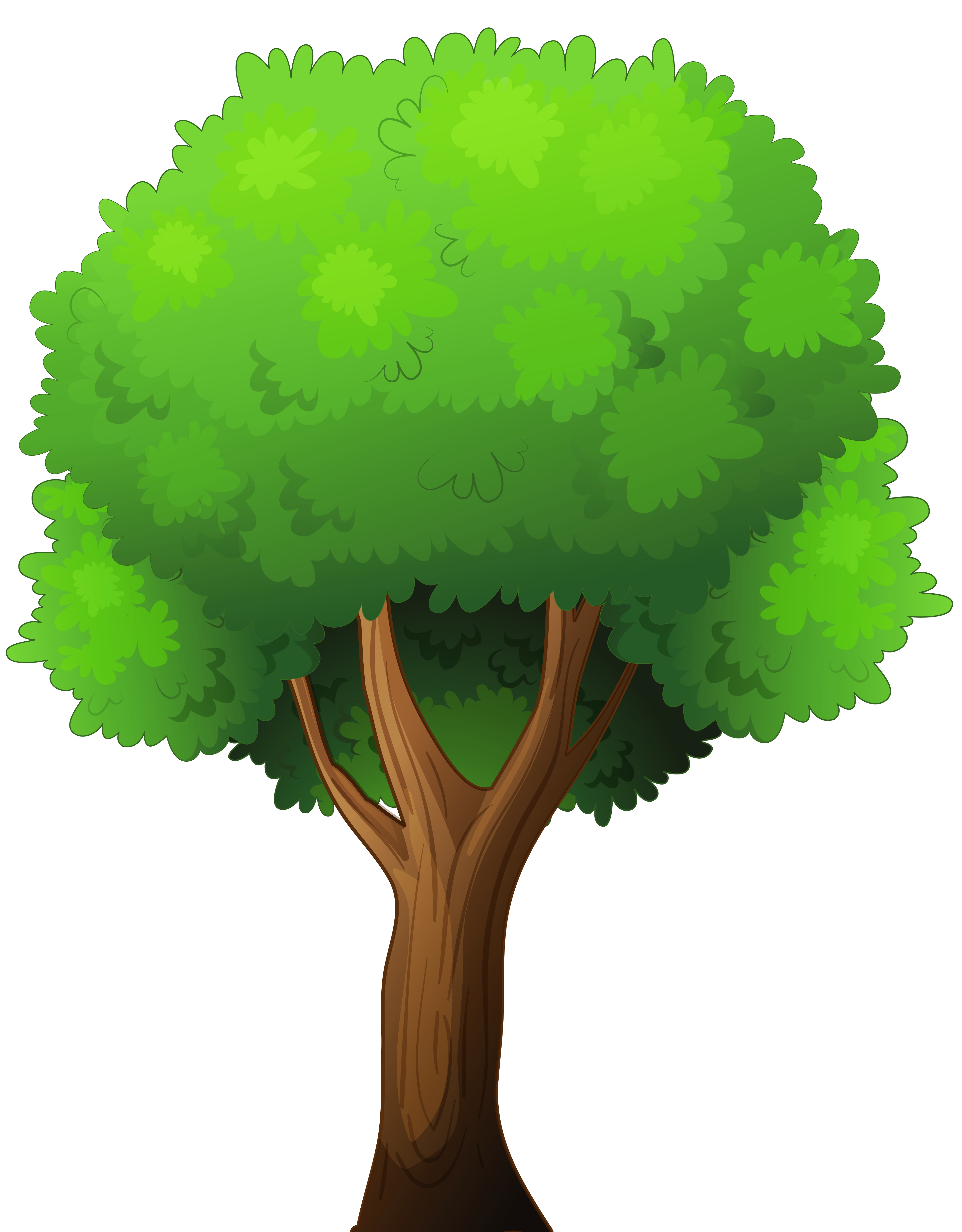 clipart picture of a tree - photo #14