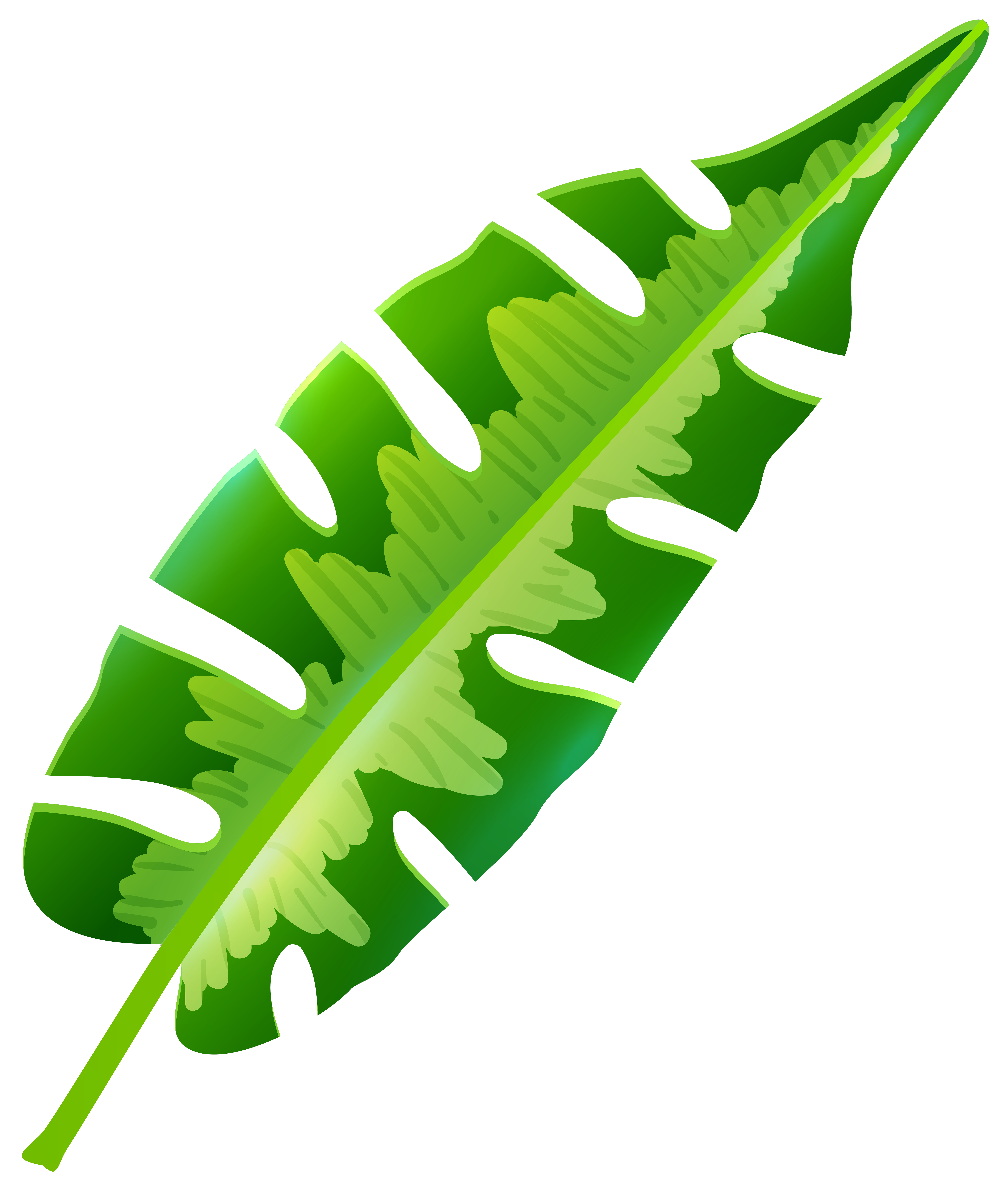 clip art tropical leaves - photo #7