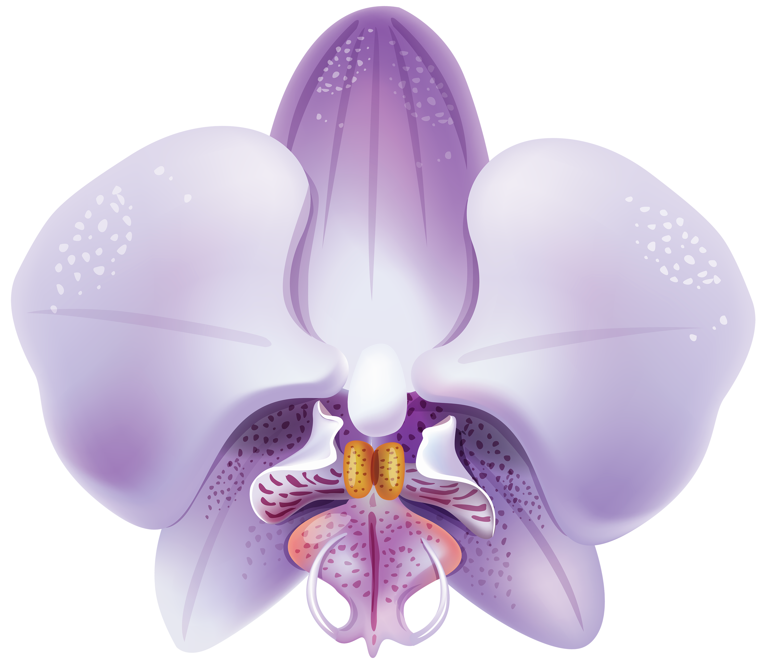 Purple Orchid Clipart