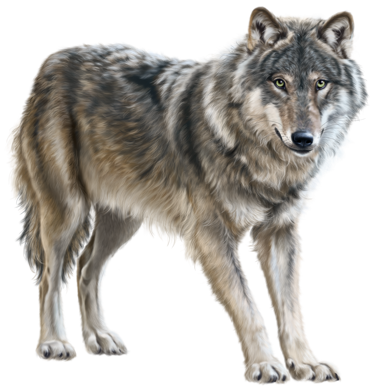 free clip art wolf pack - photo #45
