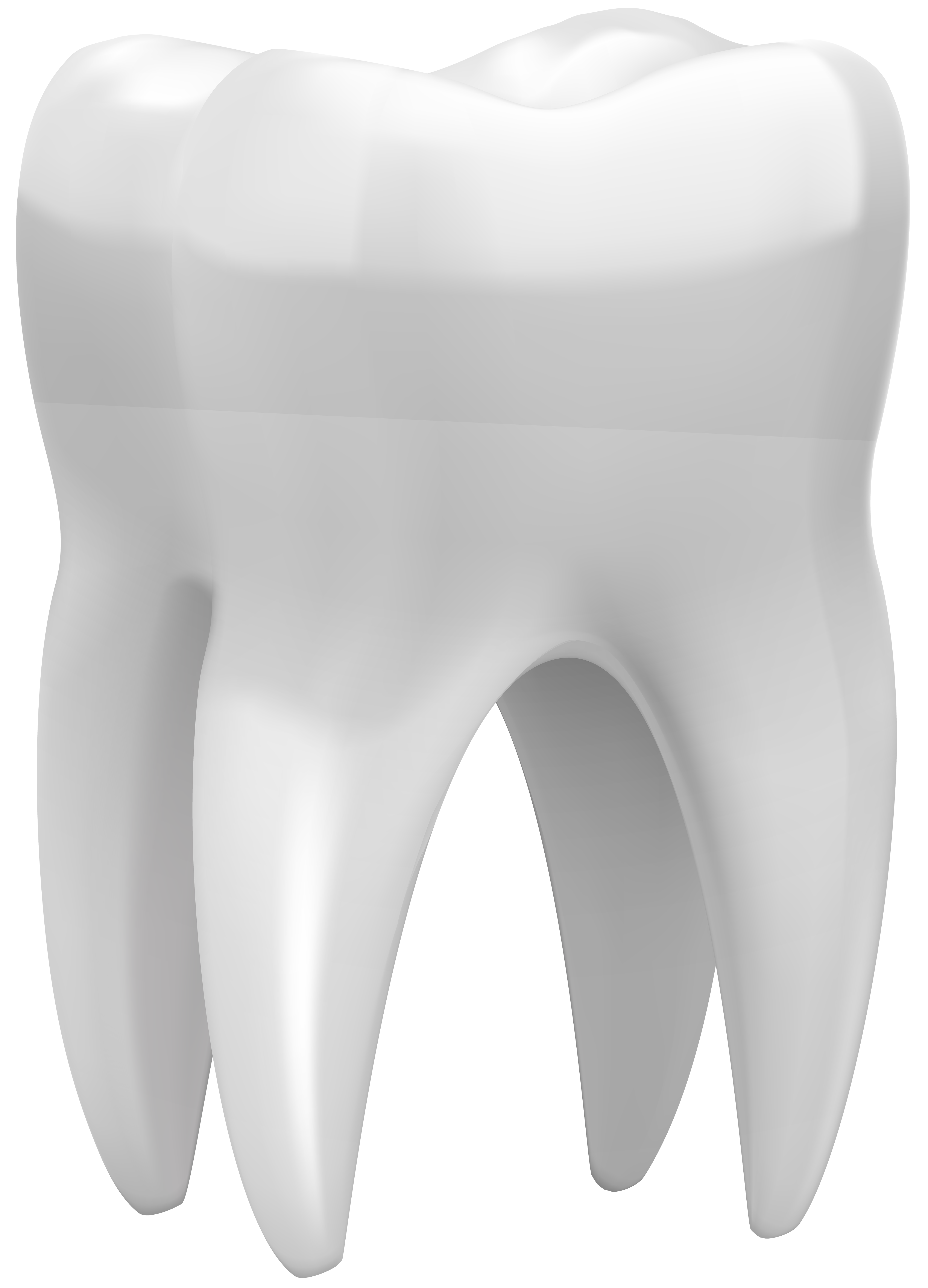 3D Tooth PNG Clip Art - Best WEB Clipart