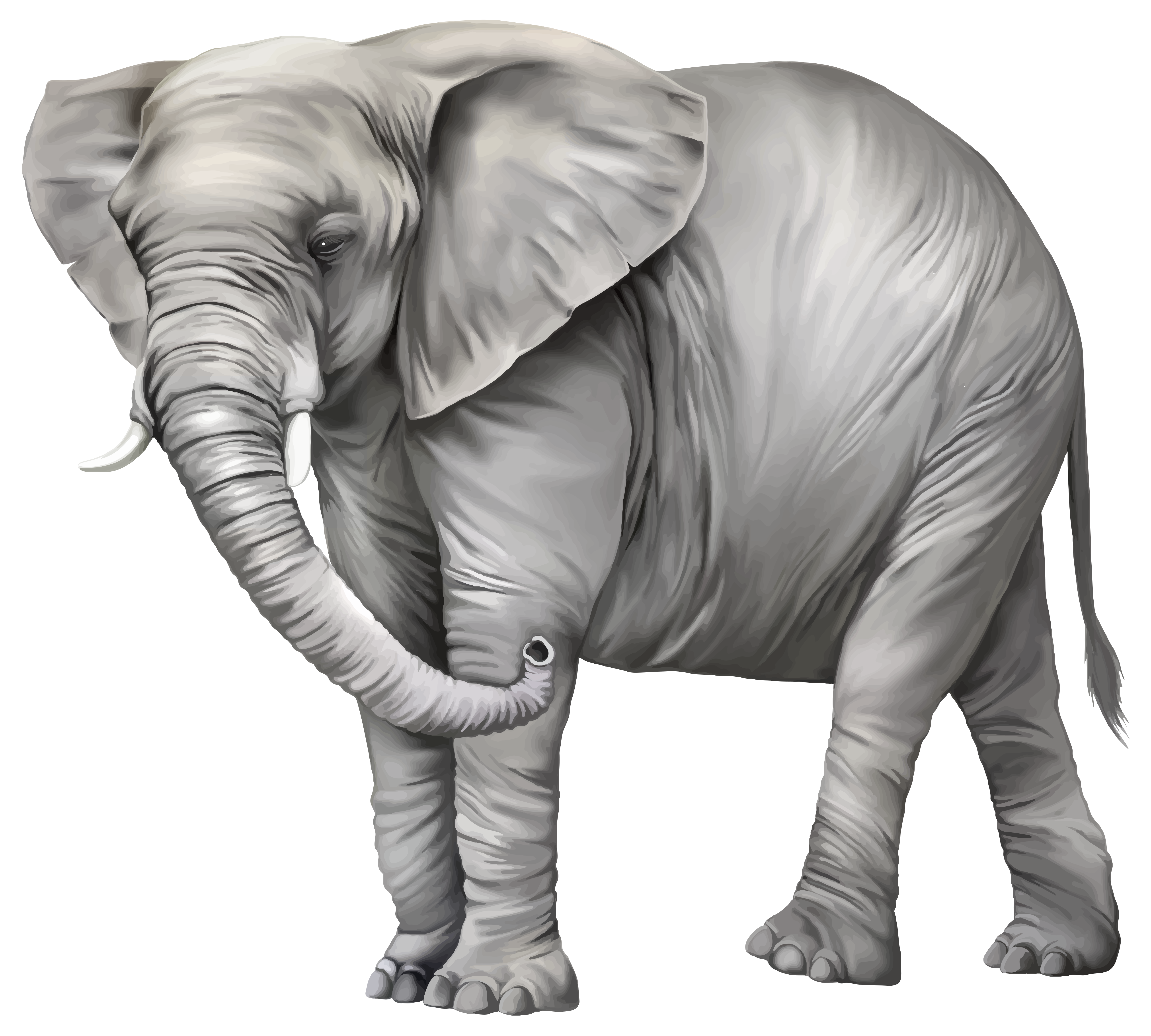 elephant clip art png - photo #47