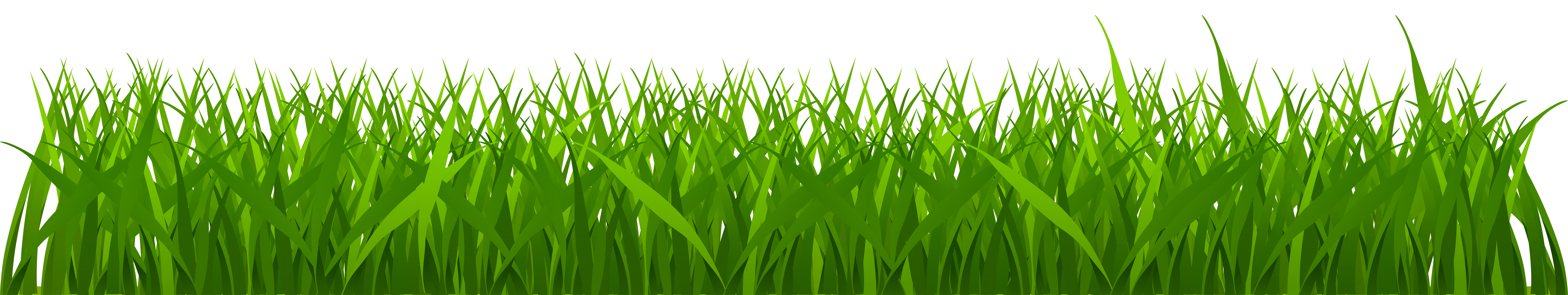 png clipart grass - photo #15