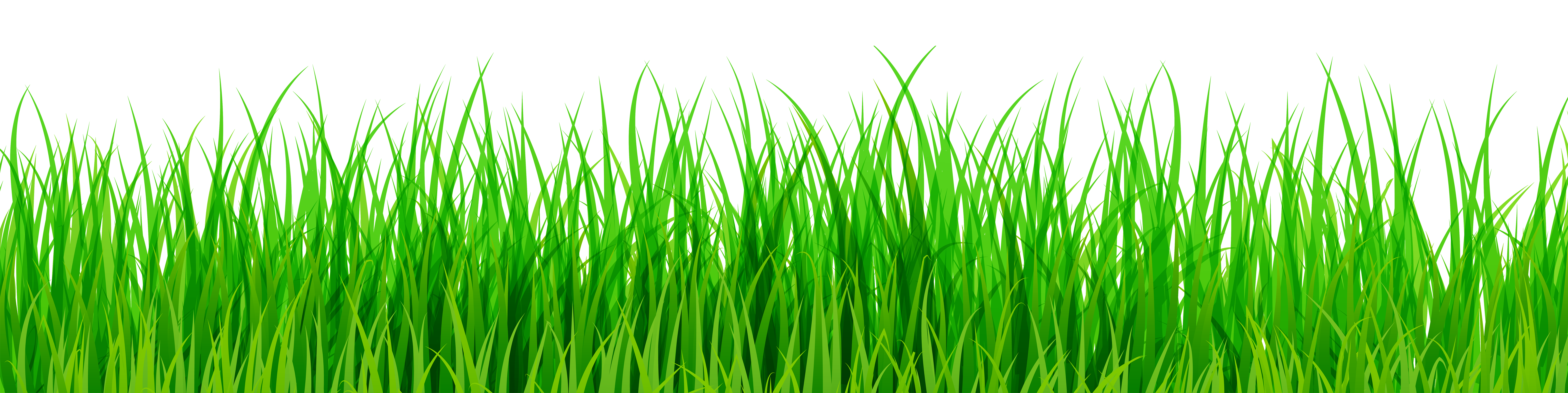 clipart of green grass - photo #22