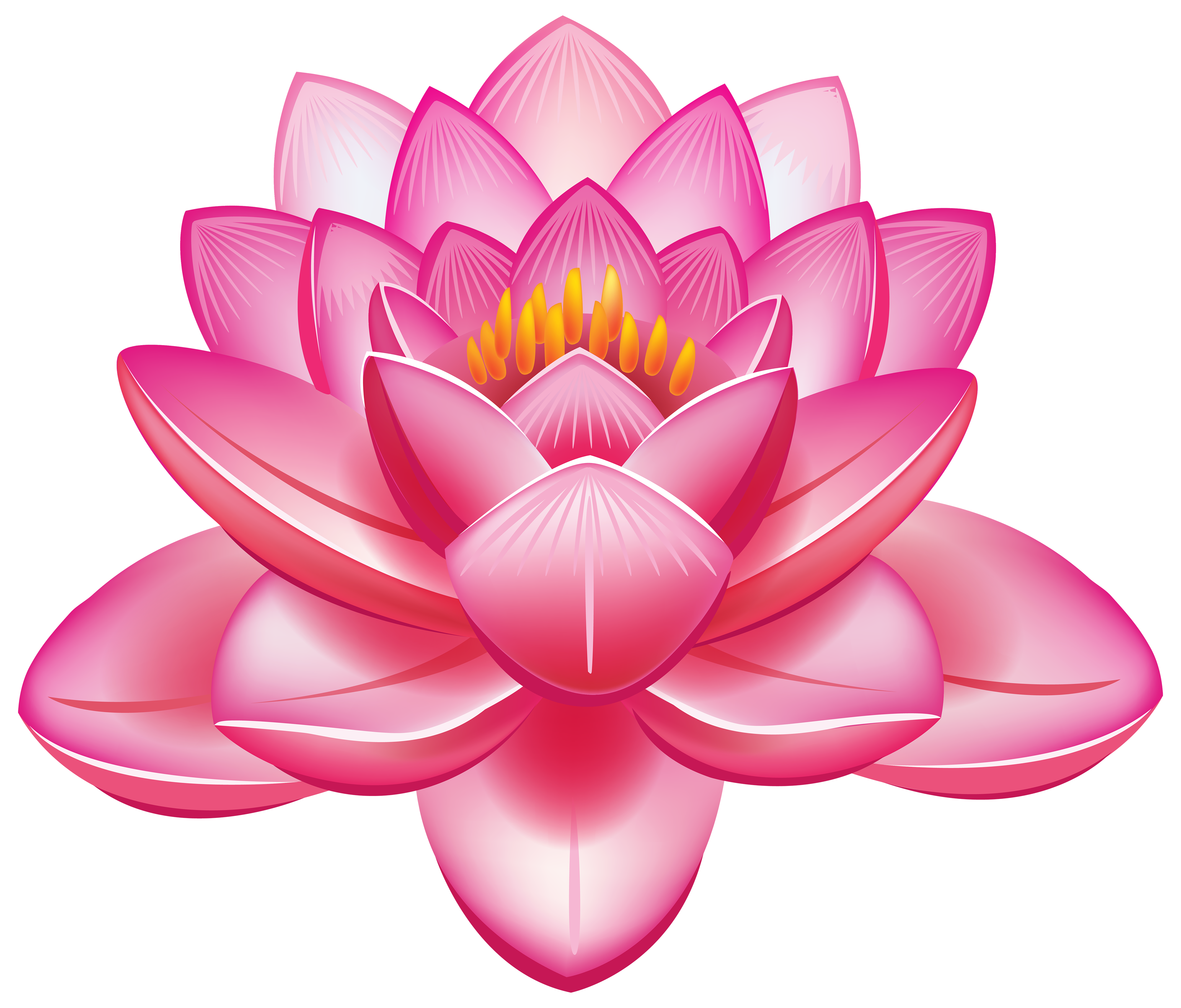 flower clip art transparent - photo #34