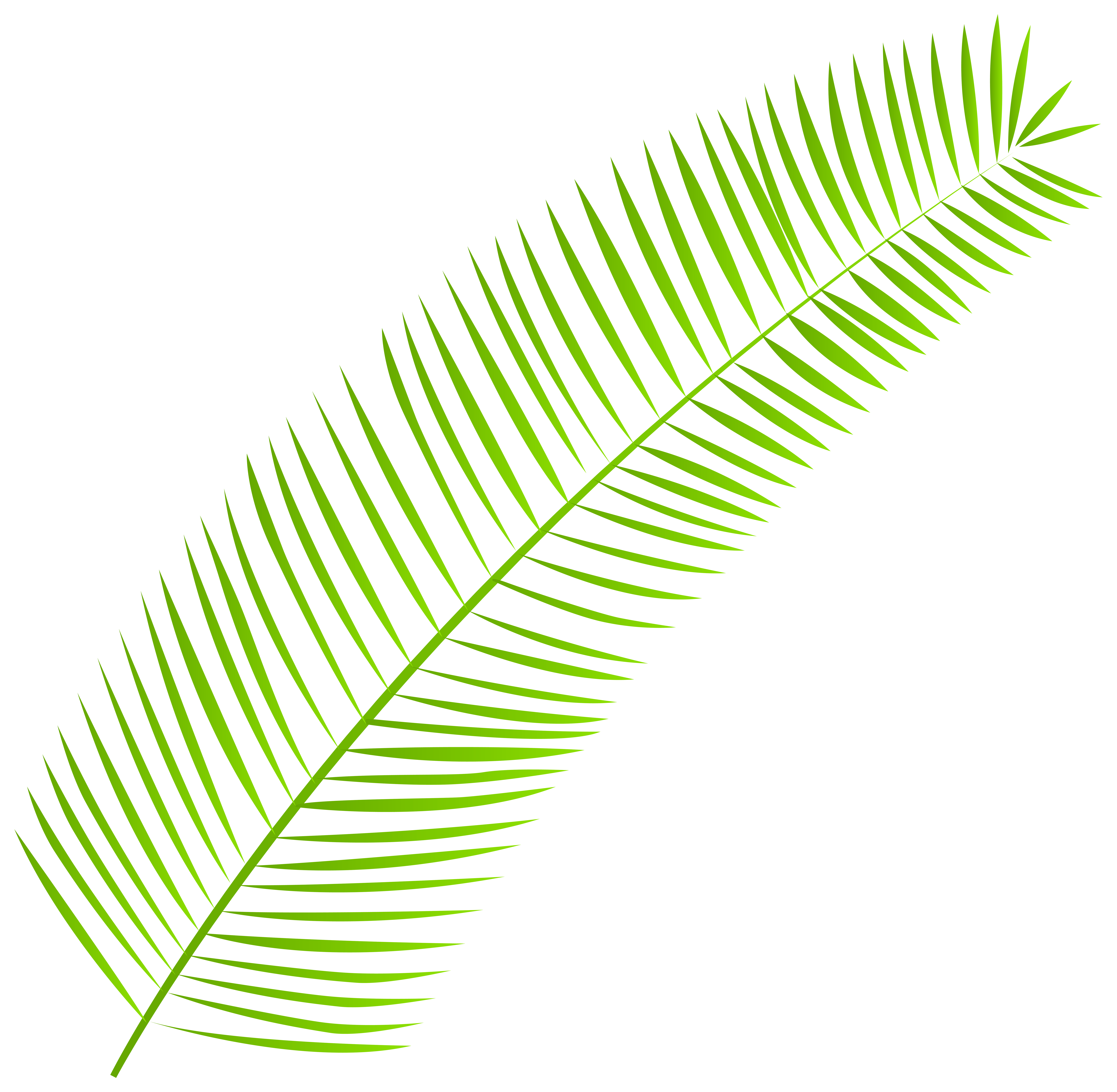 clip art palm tree leaf - photo #15