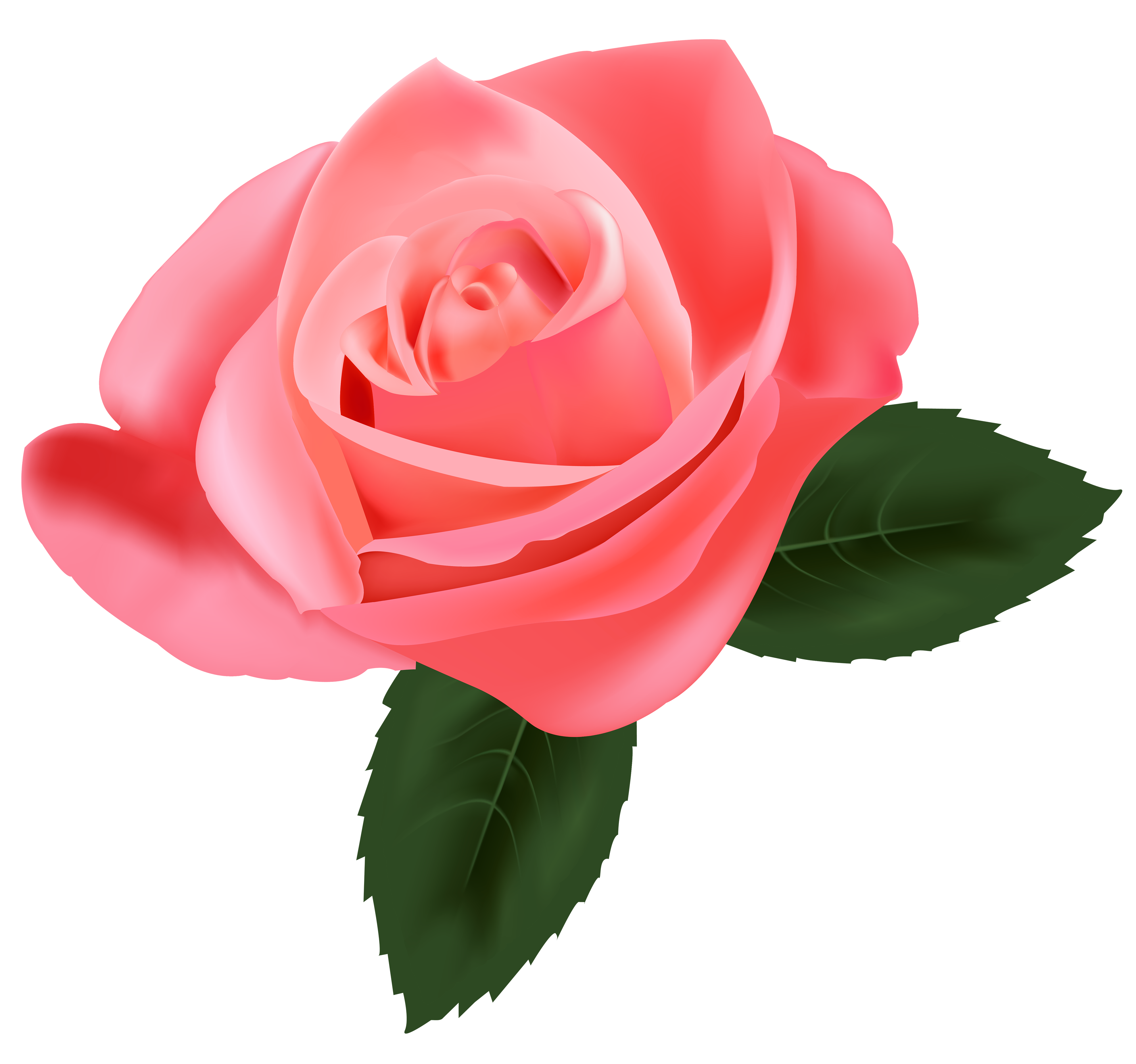 clipart chat rose - photo #38