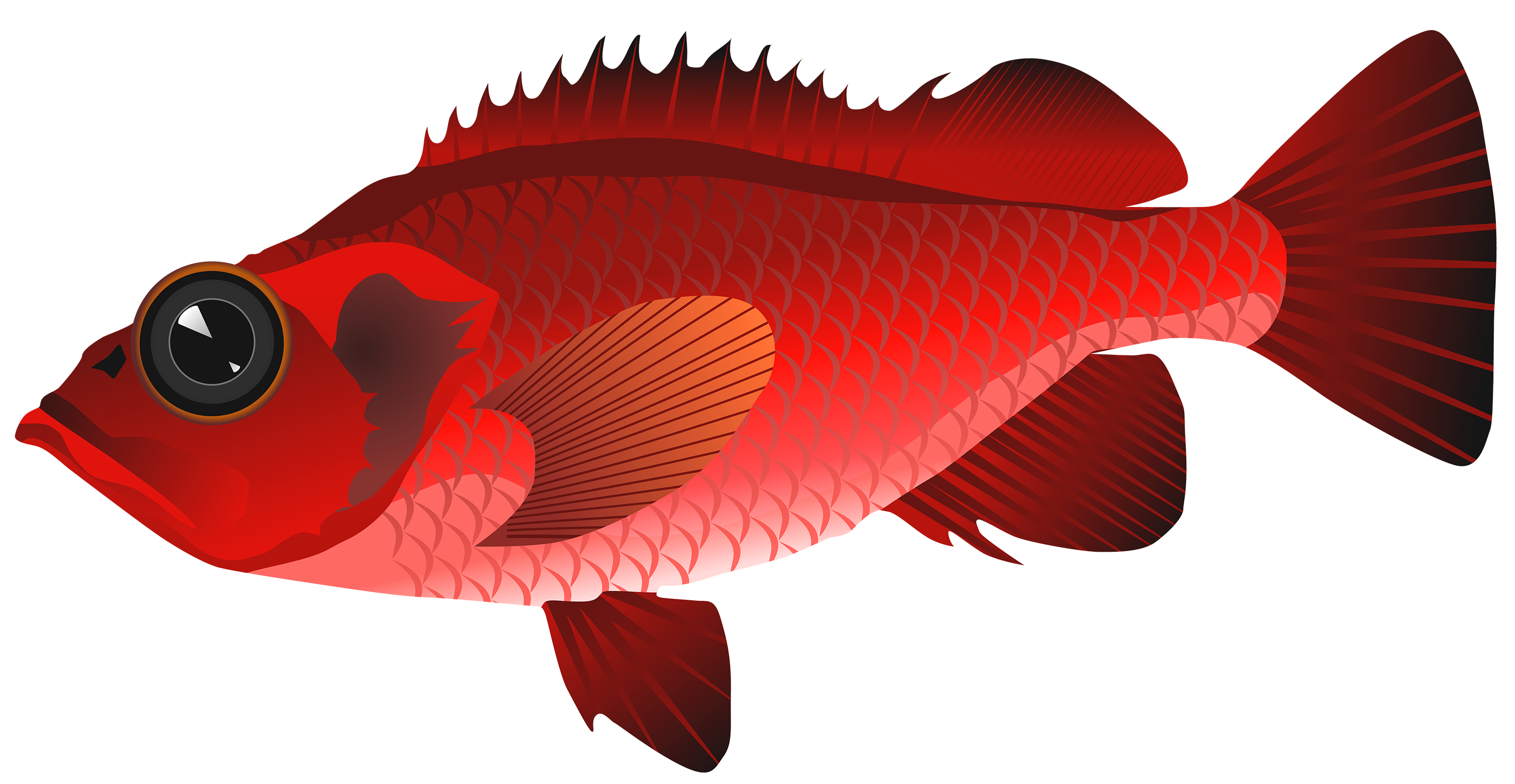clip art red fish - photo #26
