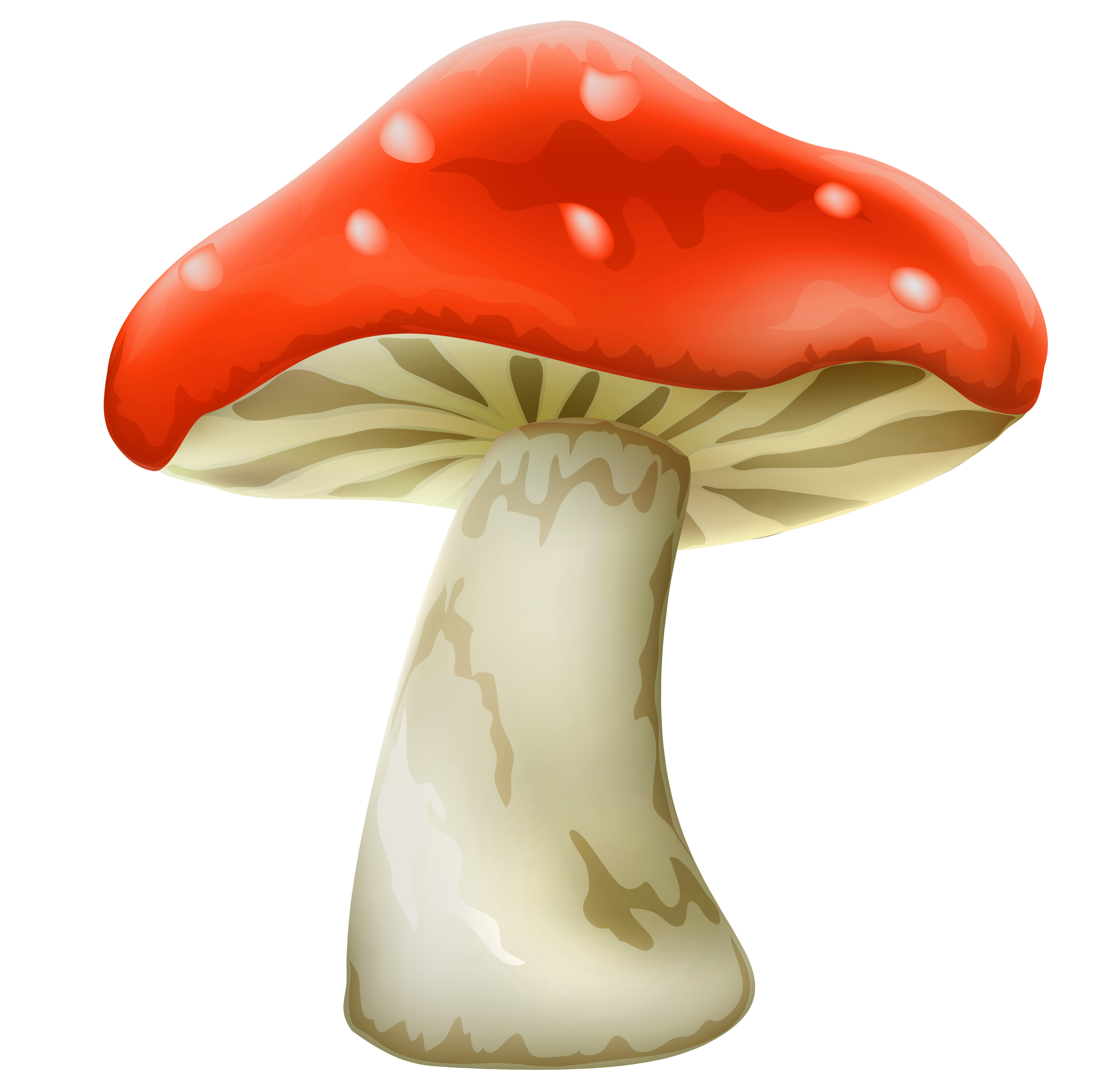 red mushroom clipart - photo #32