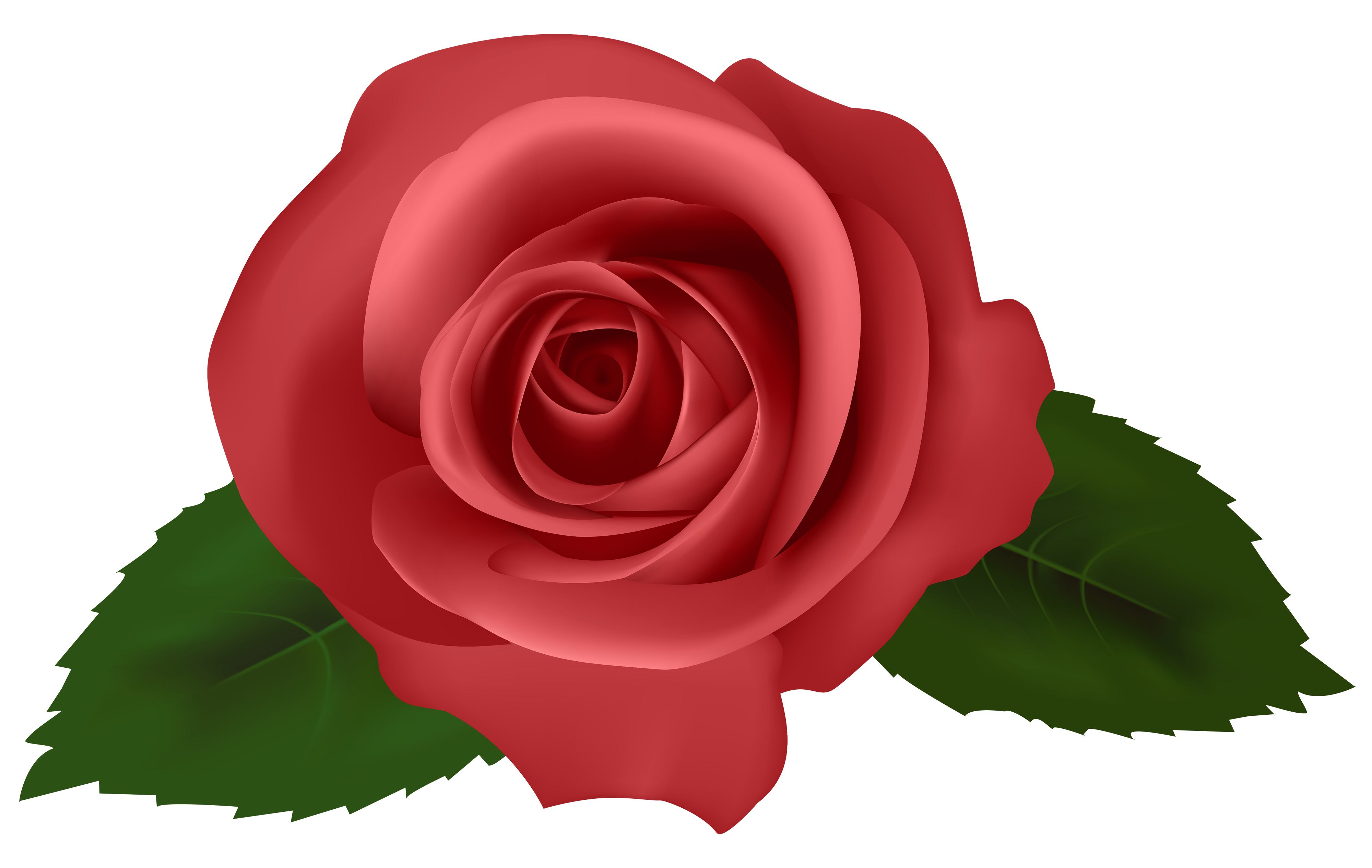 clipart chat rose - photo #37