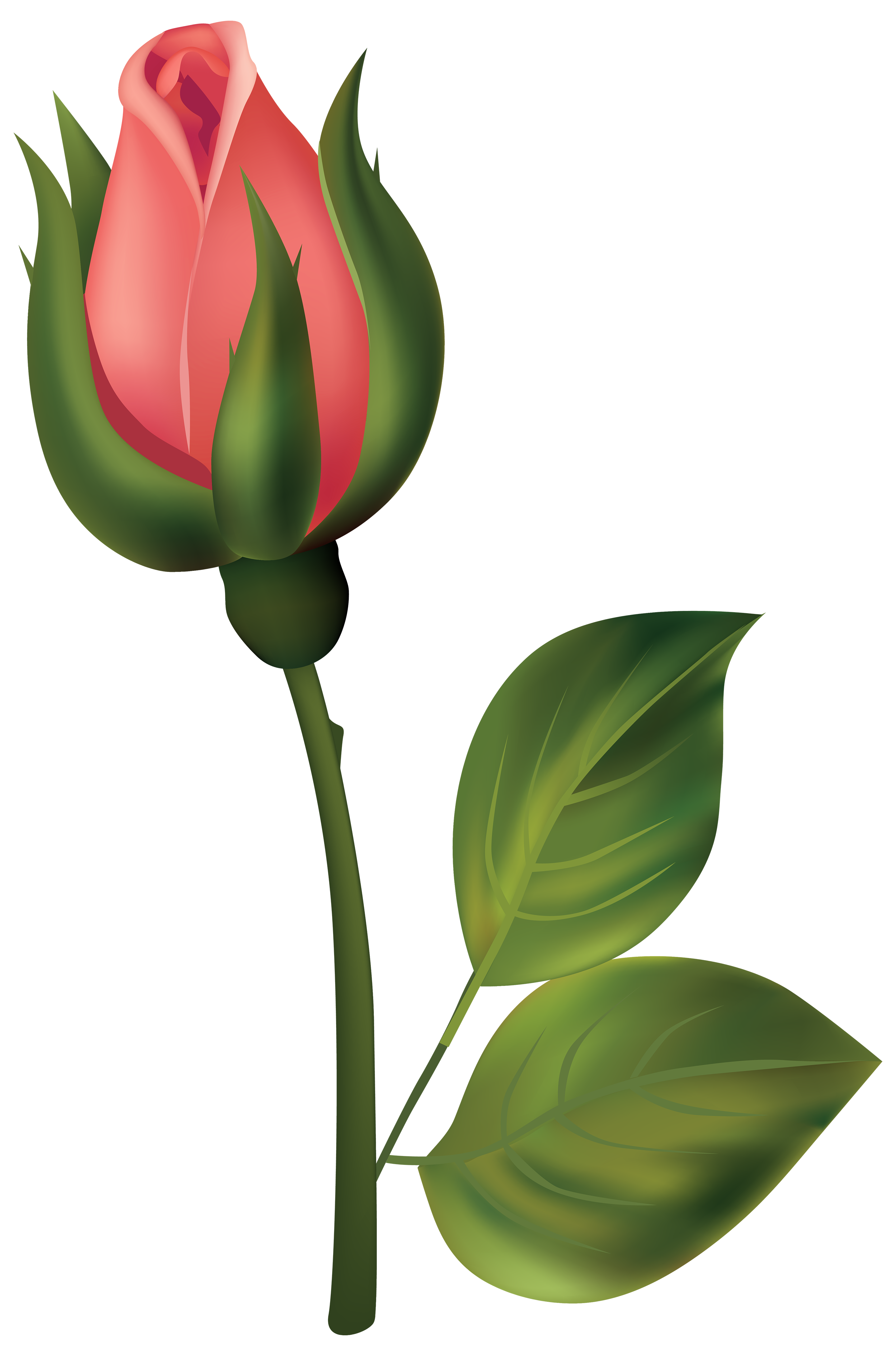 clipart red rose bud - photo #2