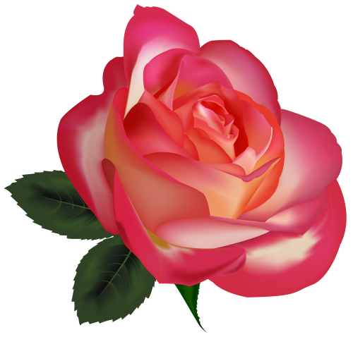 clipart noeud rose - photo #16