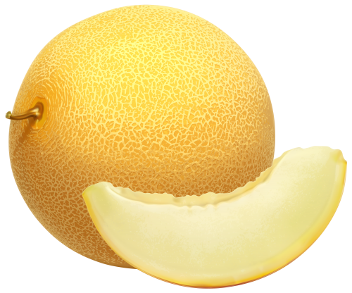 clipart melon - photo #36