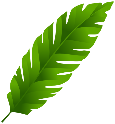 clipart of green leaf - photo #50