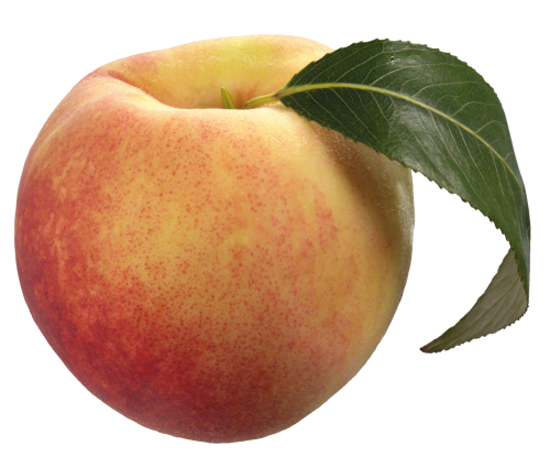Peach_with_Green_Leaf_PNG_Clipart-239.png