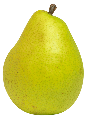 Pear_Fruit_PNG_Clipart-242.png