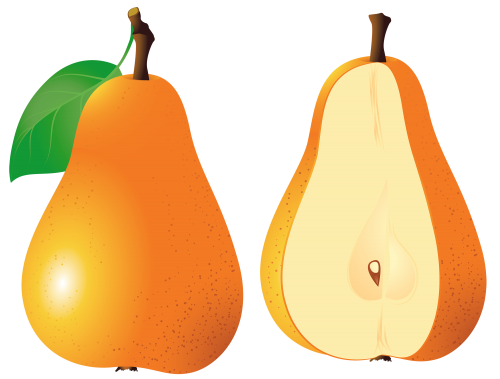 Pears_Fruit_PNG_Clipart-243.png
