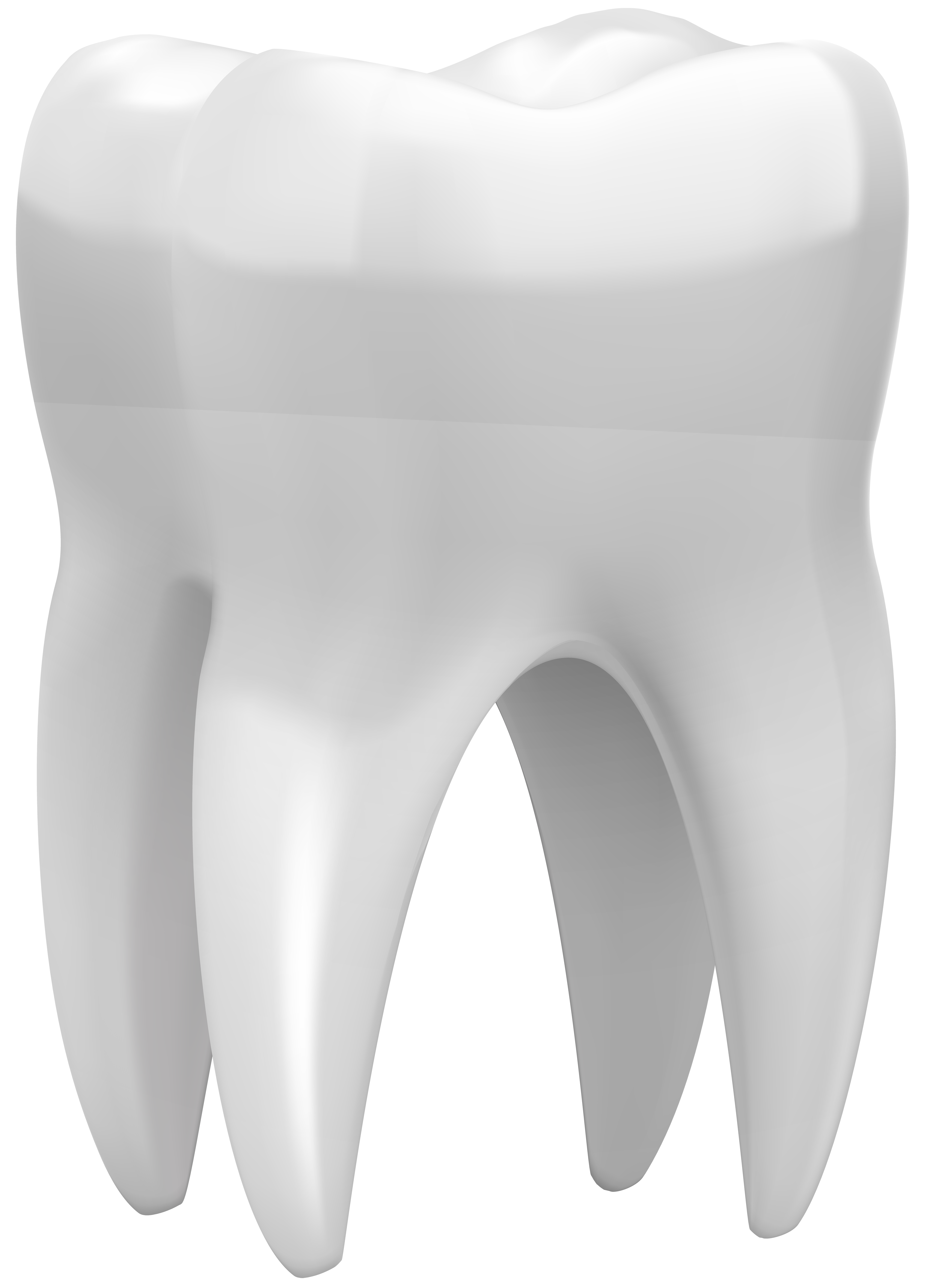 Зуб. Красивые зубы. Зубы стоматология. Здоровые зубы.