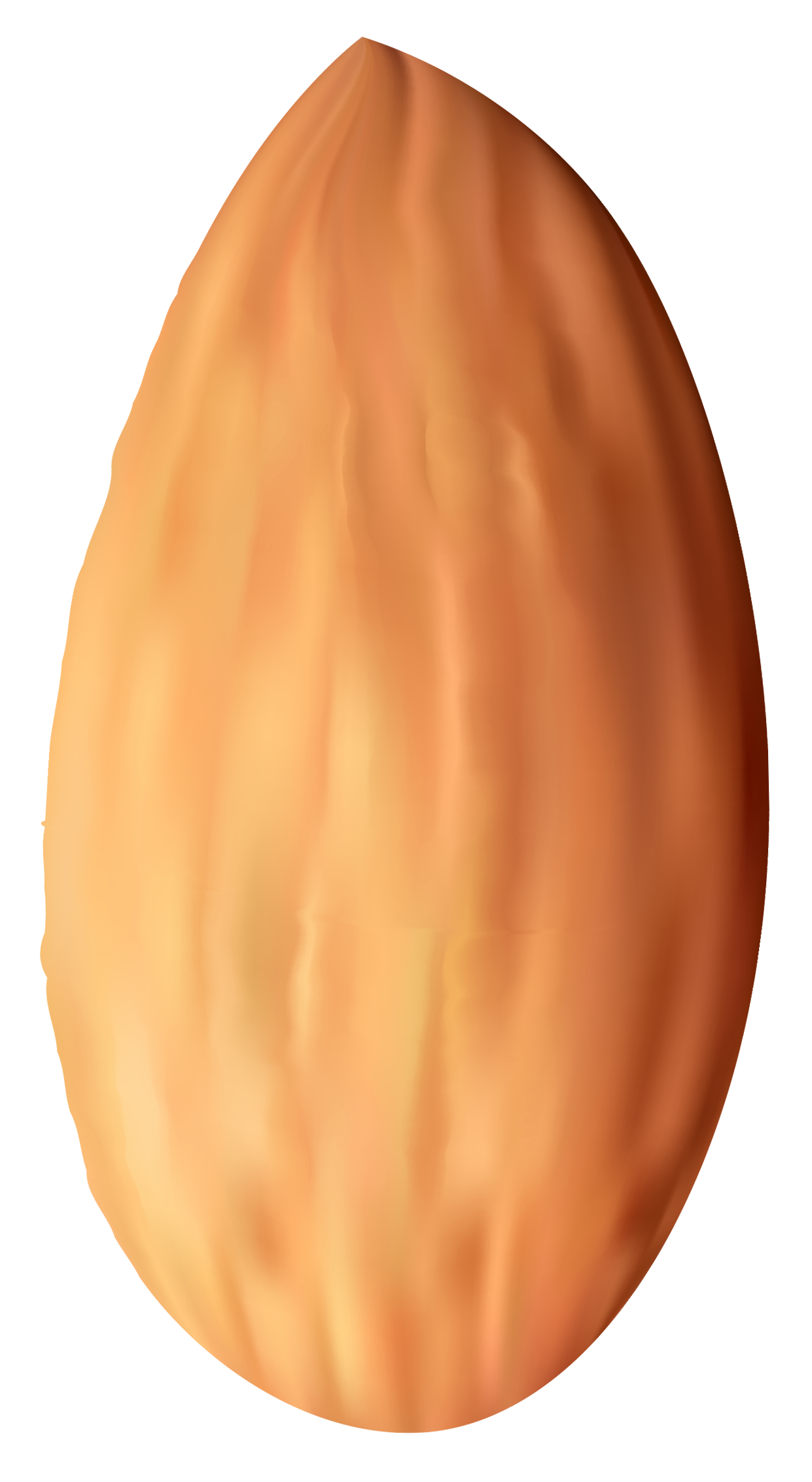 Almond Nut PNG Clipart - Best WEB Clipart