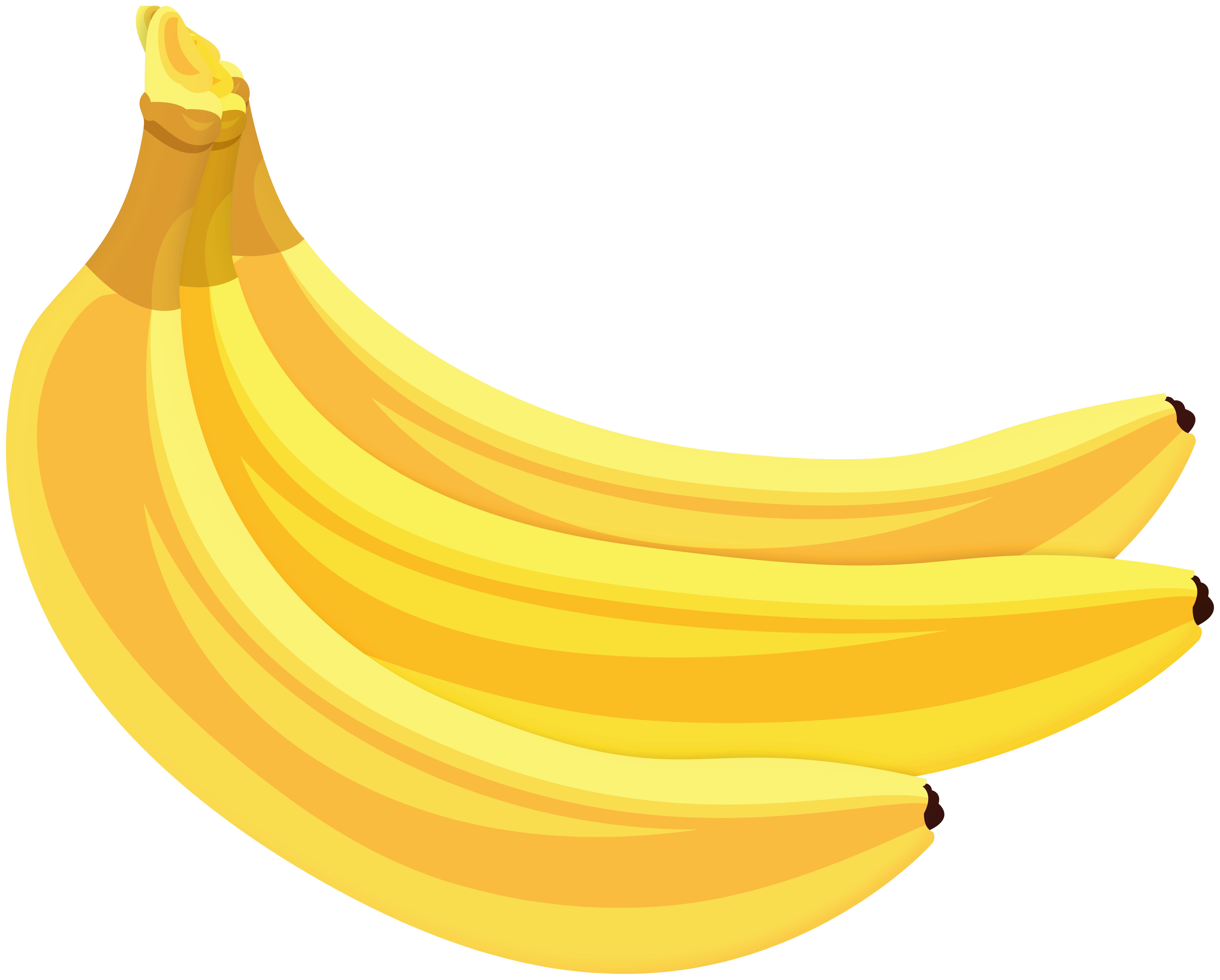 Banana Clipart Banana PNG Fruits Clip Art Digital (Download Now) 