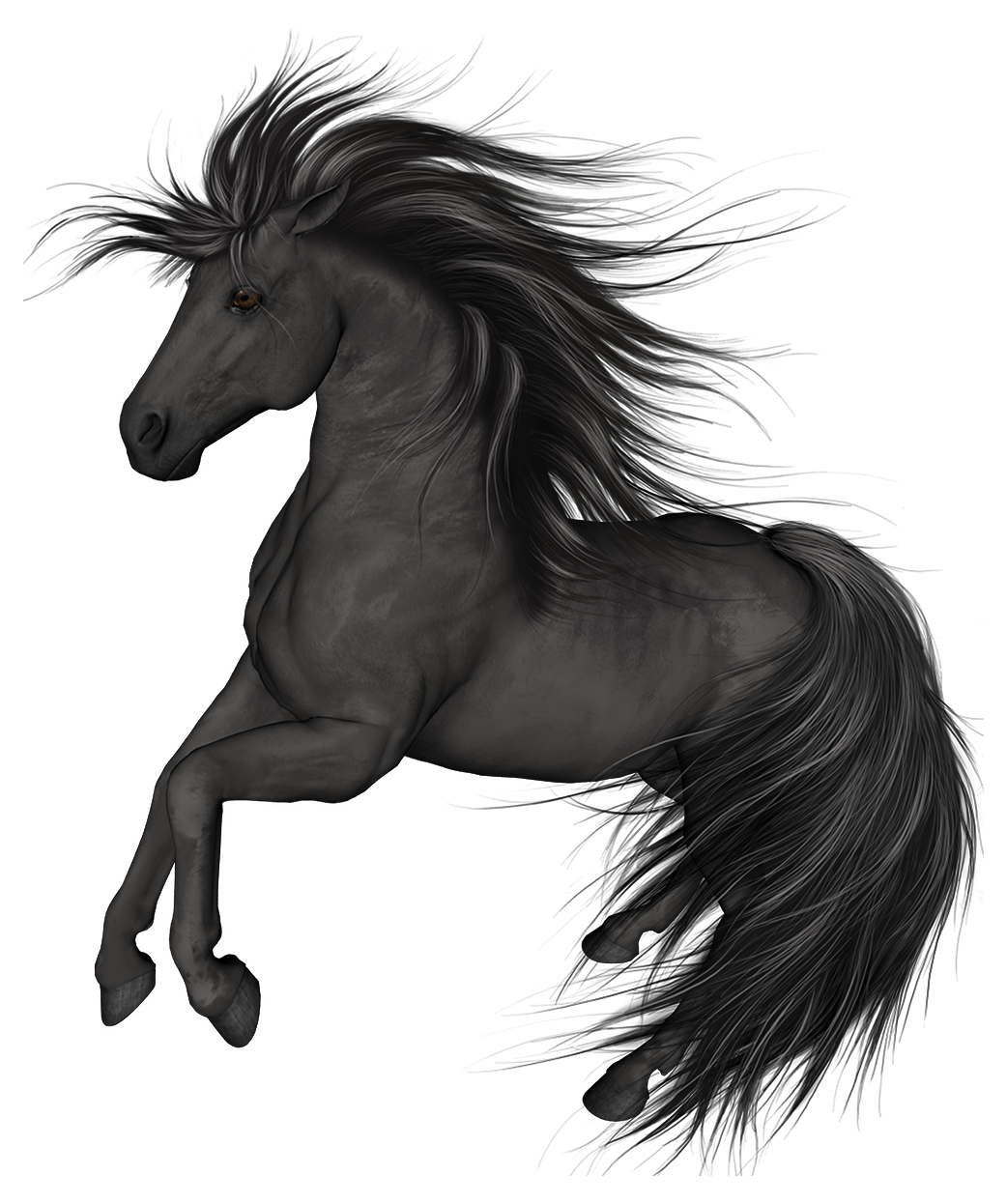 Horse, horse, horse, animals png