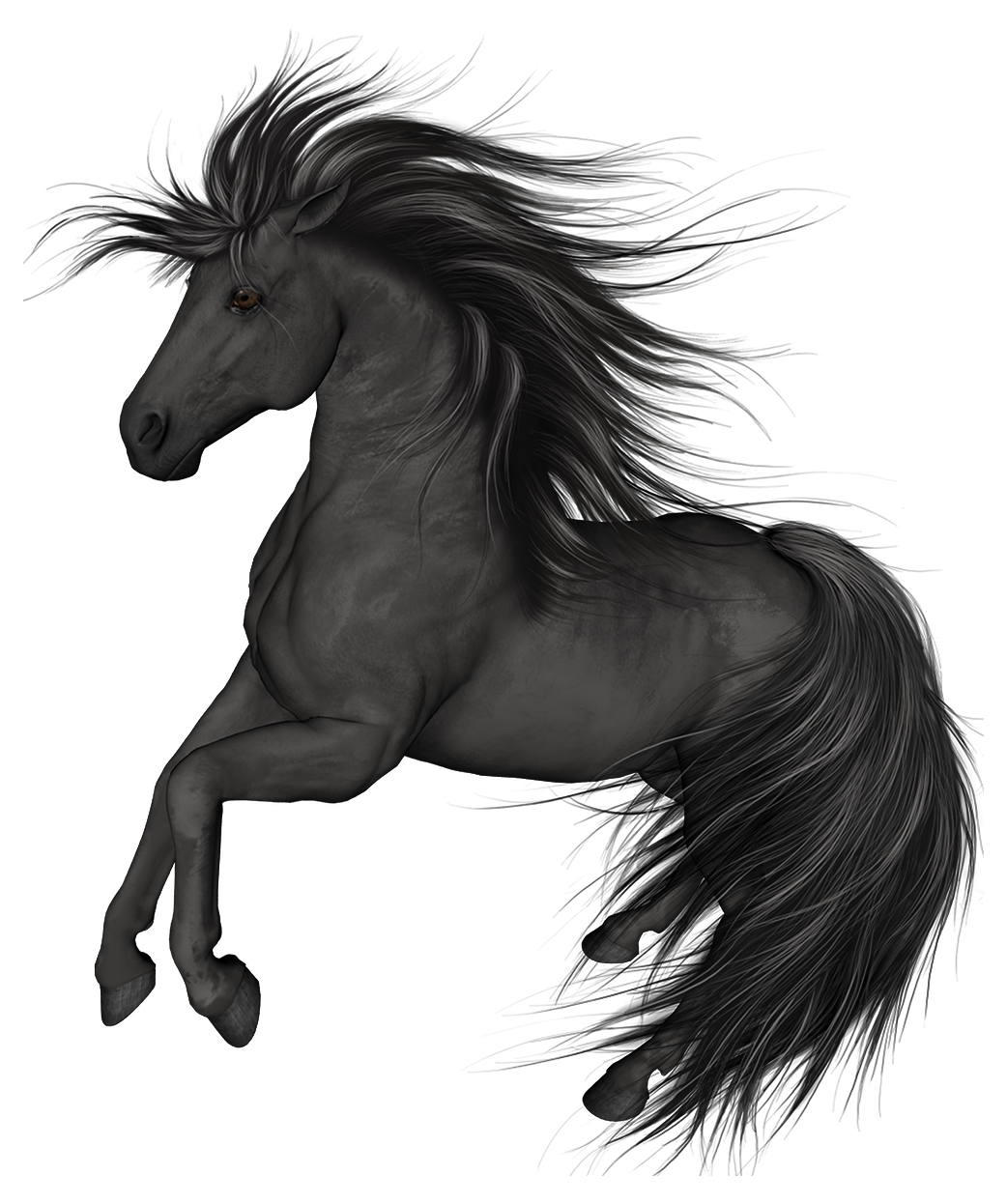 Black Horse Png Clip Art Best Web Clipart