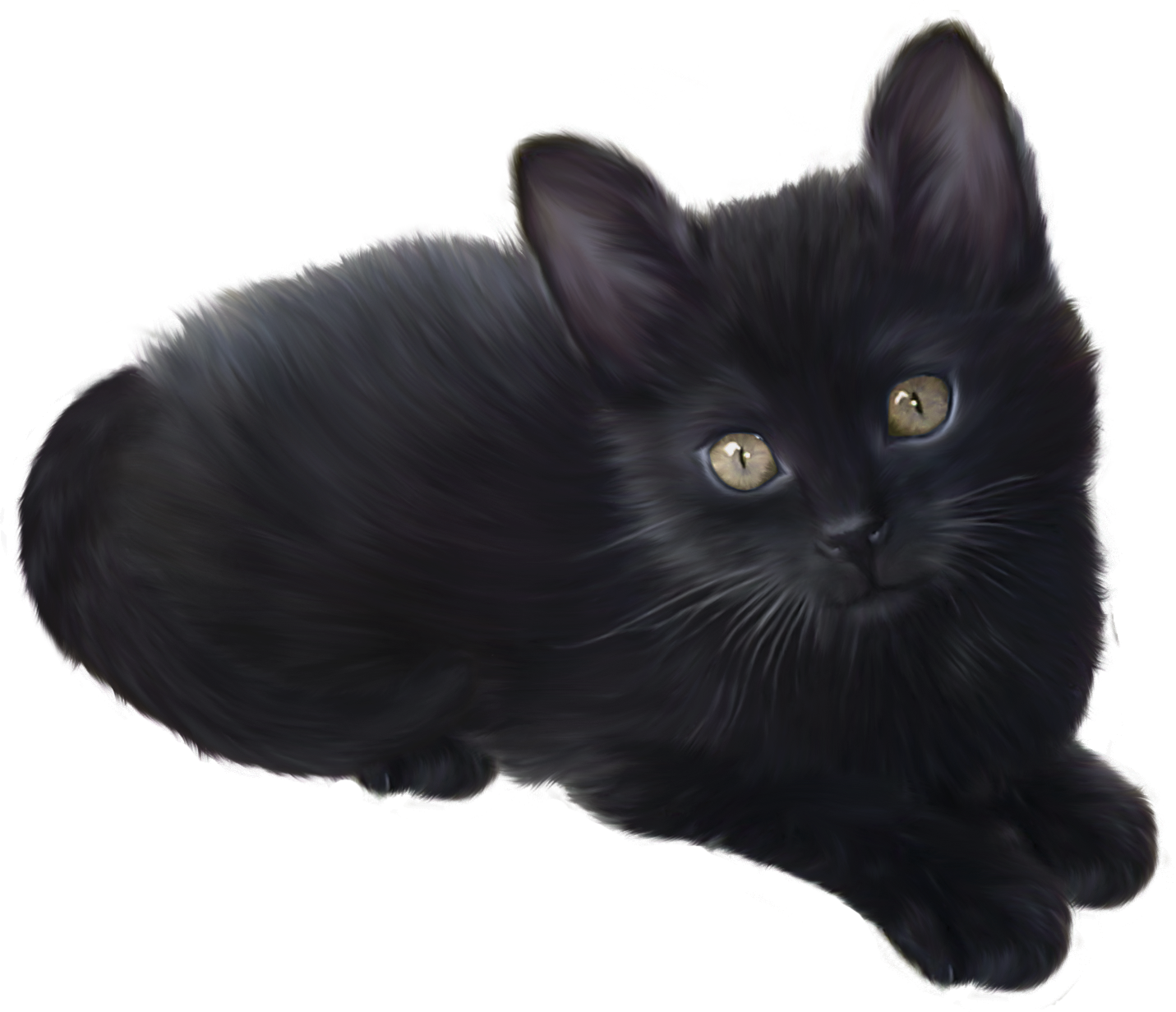 Black cat png images