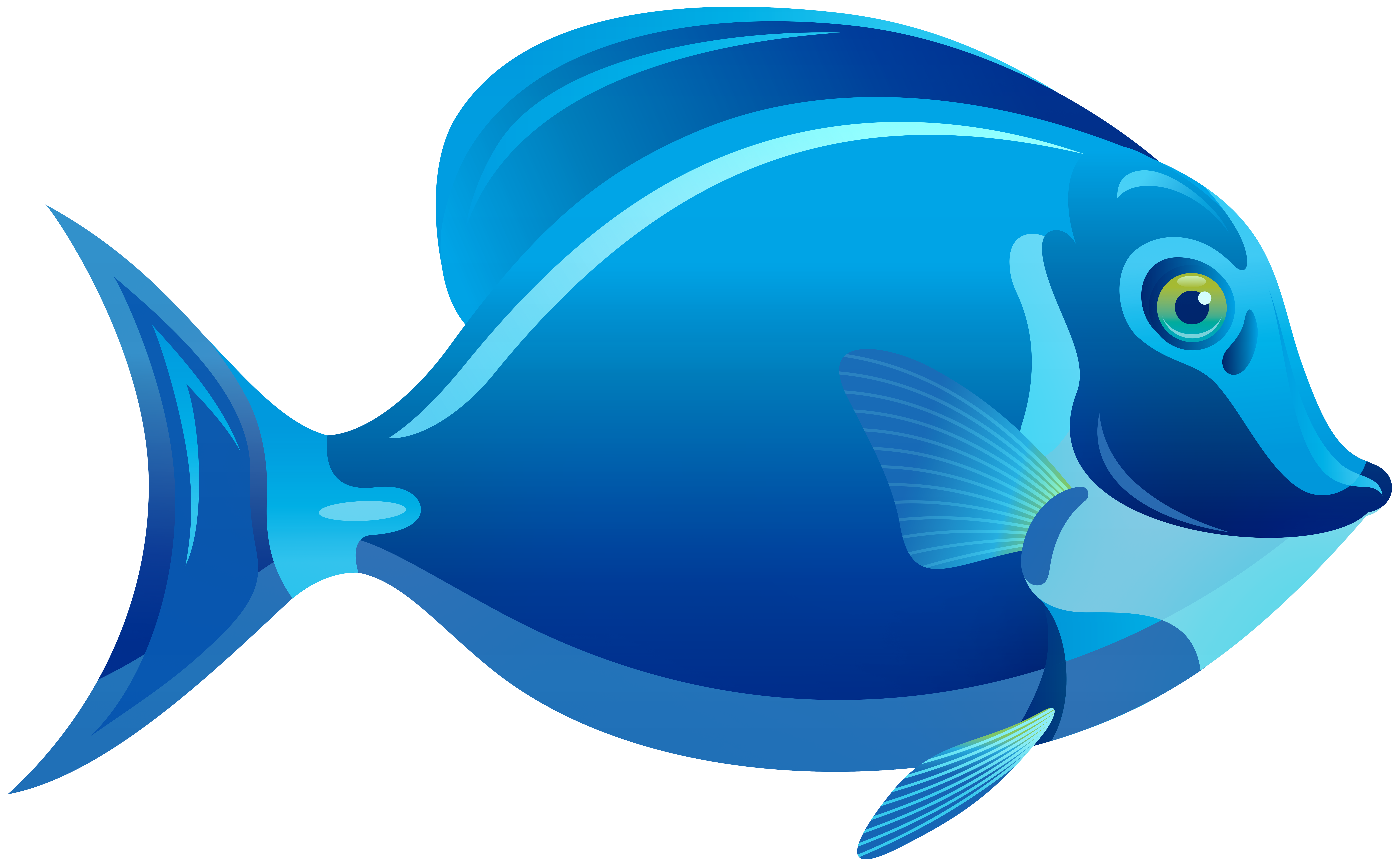 Blue Fish Png Clipart Best Web Clipart