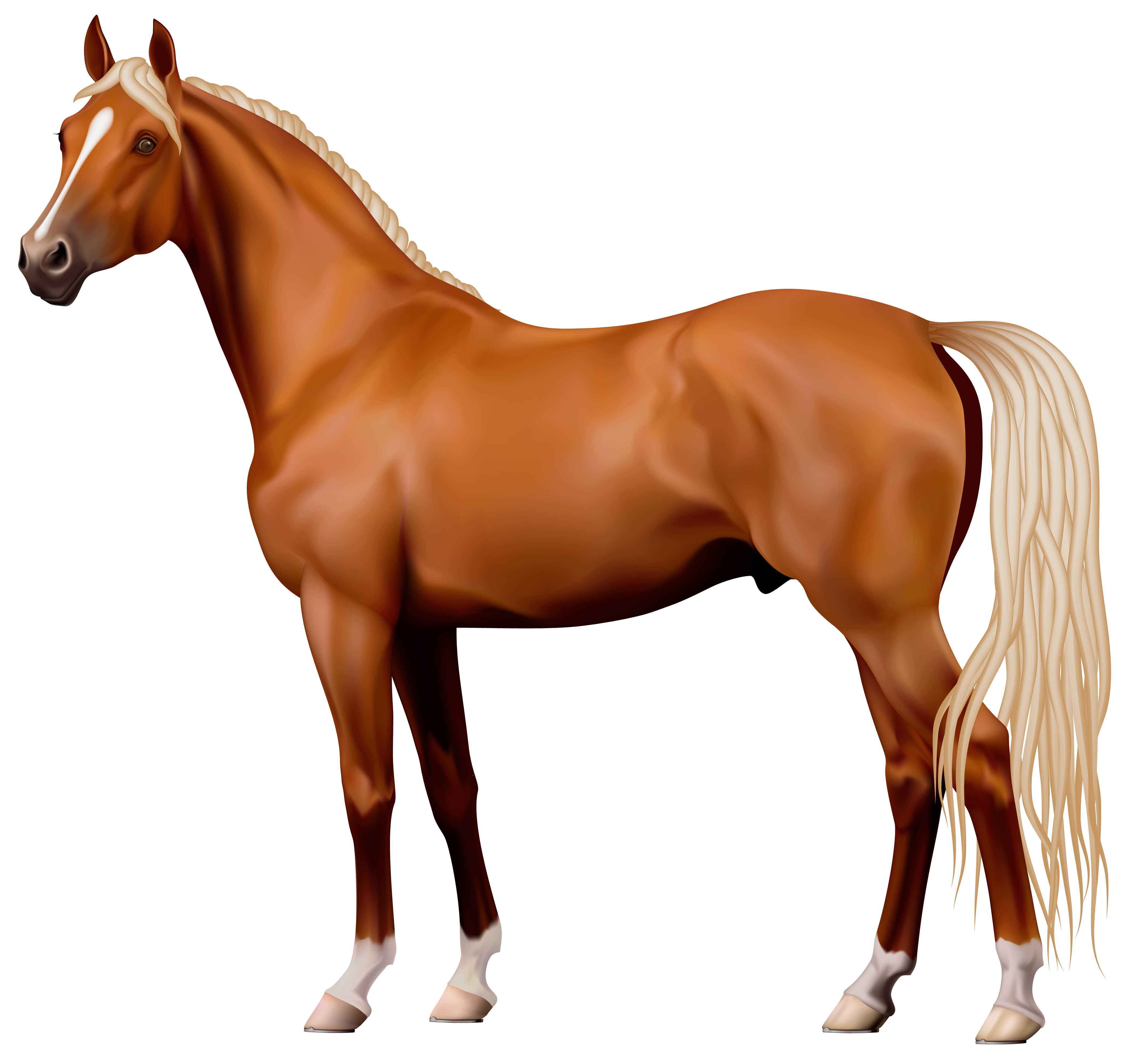 Brown Horse Png Clipart Best Web Clipart