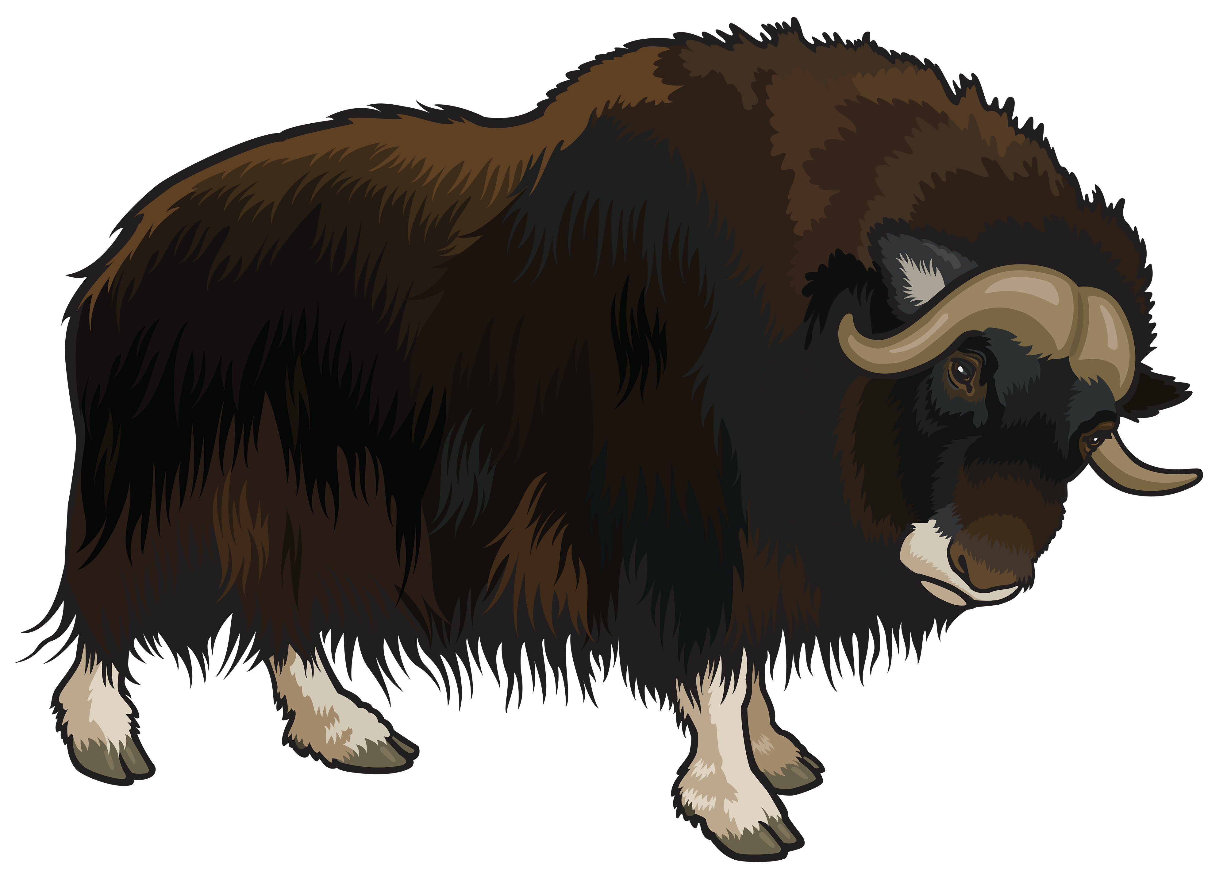 buffalo clipart