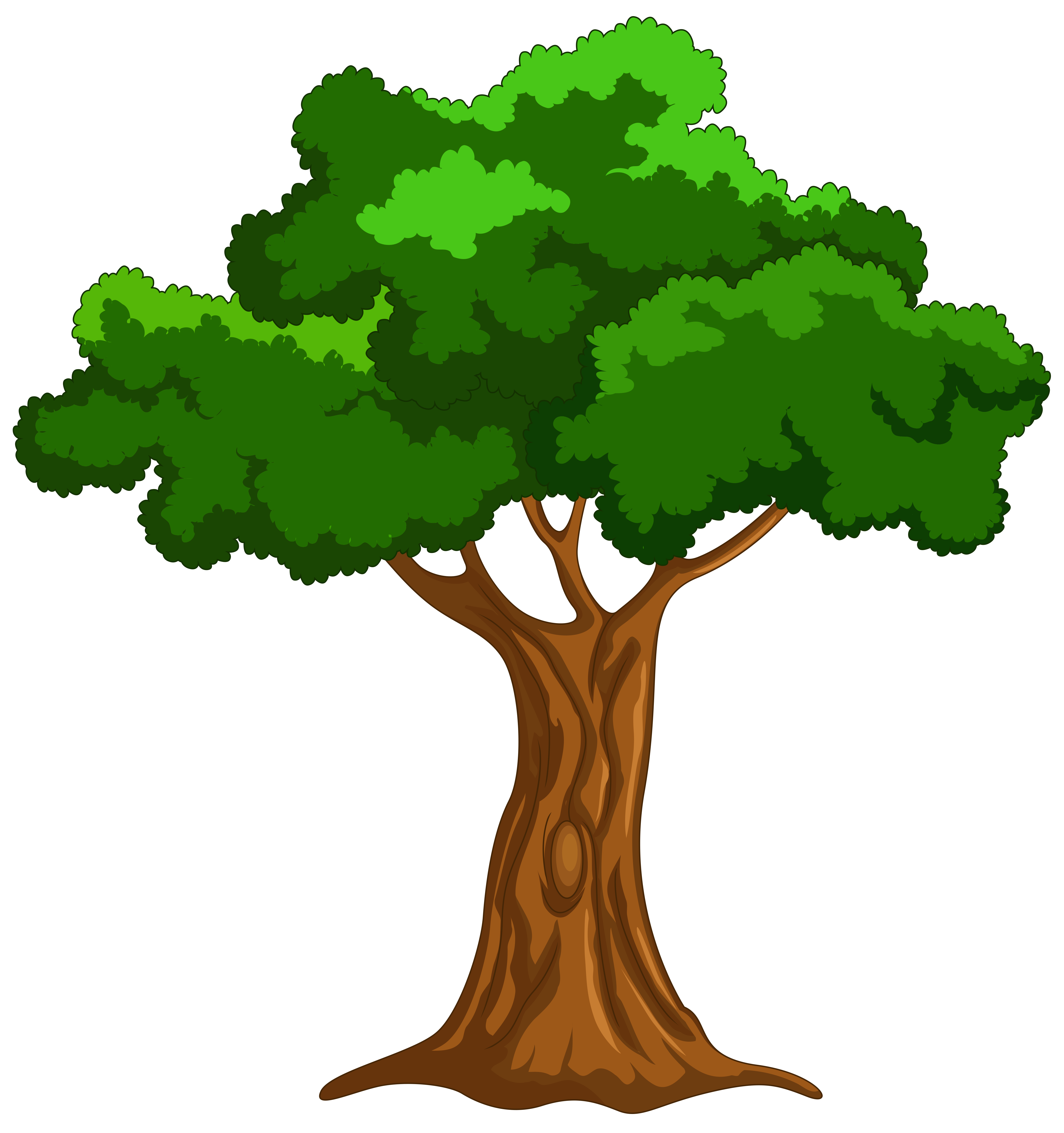 Cartoon Tree PNG Clip Art - Best WEB Clipart