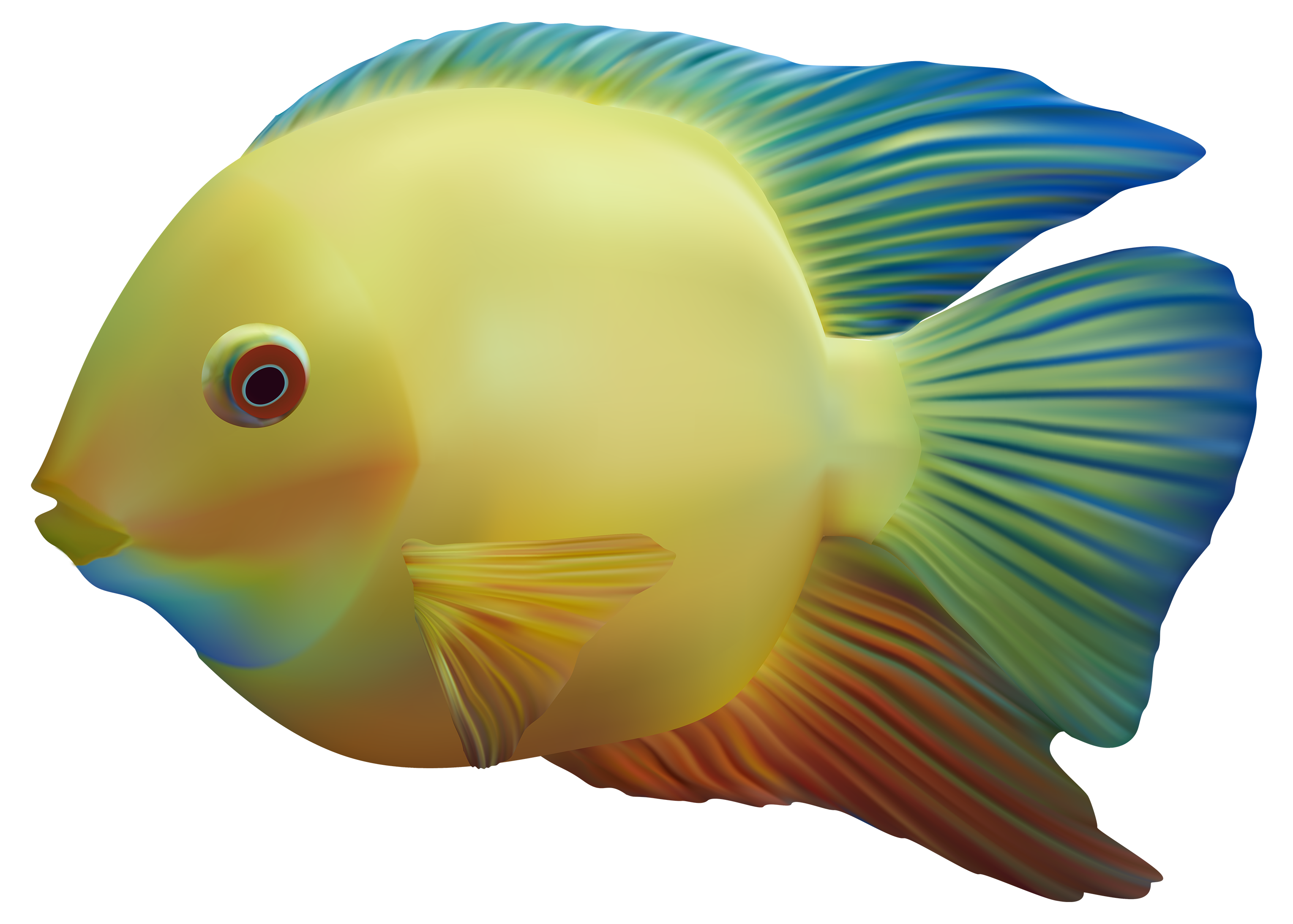 Exotic Fish PNG Clipart - Best WEB Clipart
