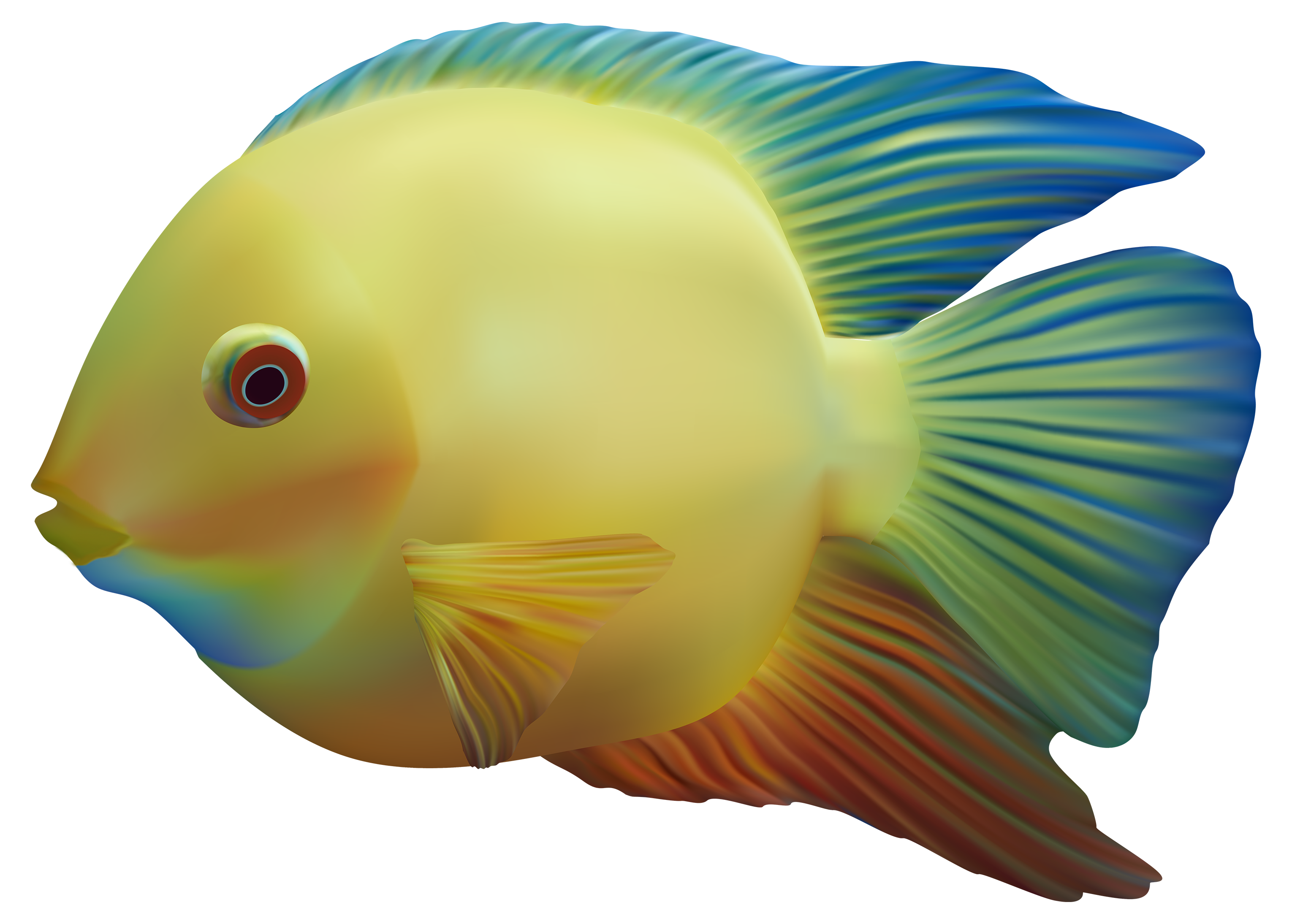 Fish PNG Clip Art Image​  Gallery Yopriceville - High-Quality